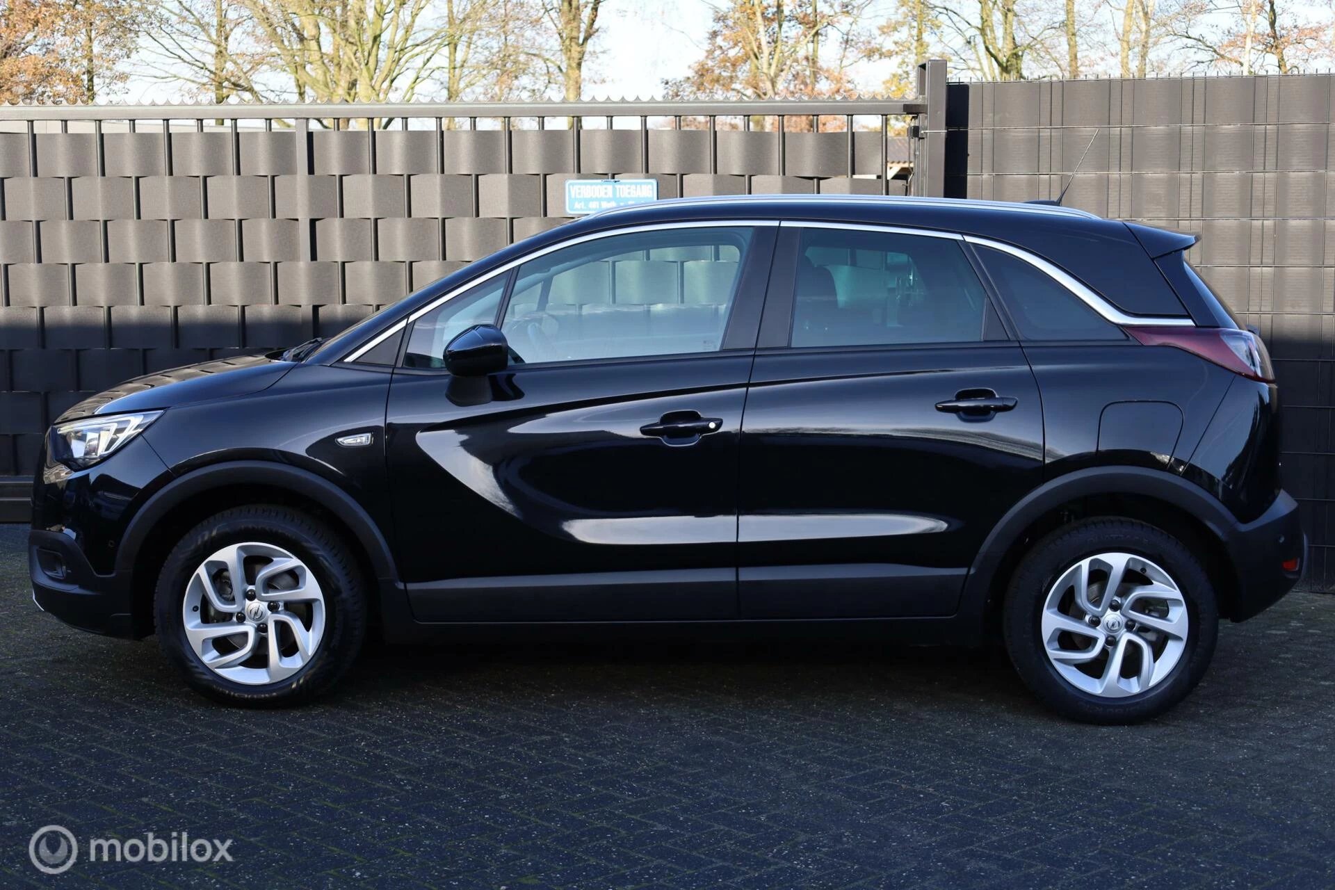 Hoofdafbeelding Opel Crossland X