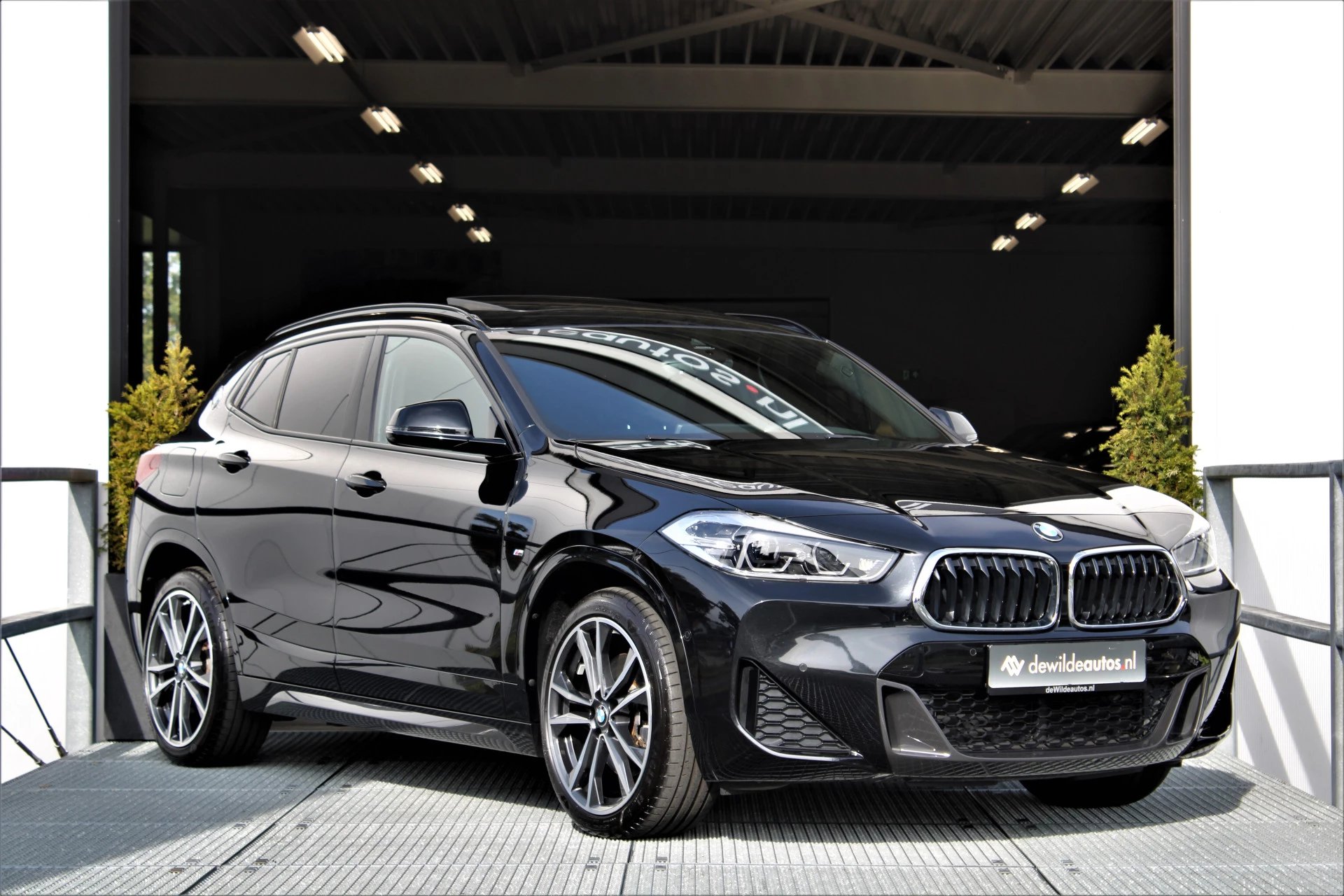 Hoofdafbeelding BMW X2