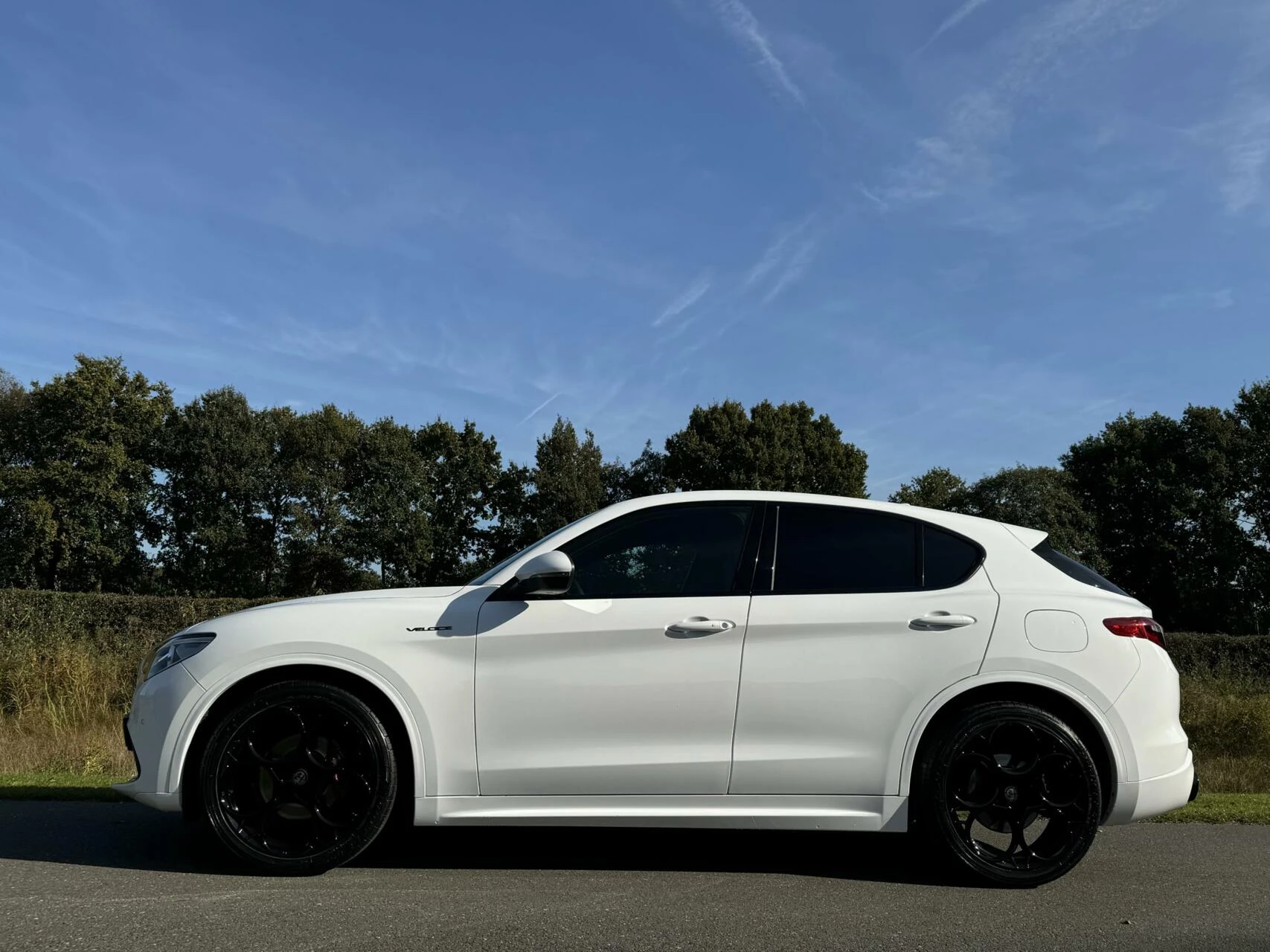 Hoofdafbeelding Alfa Romeo Stelvio