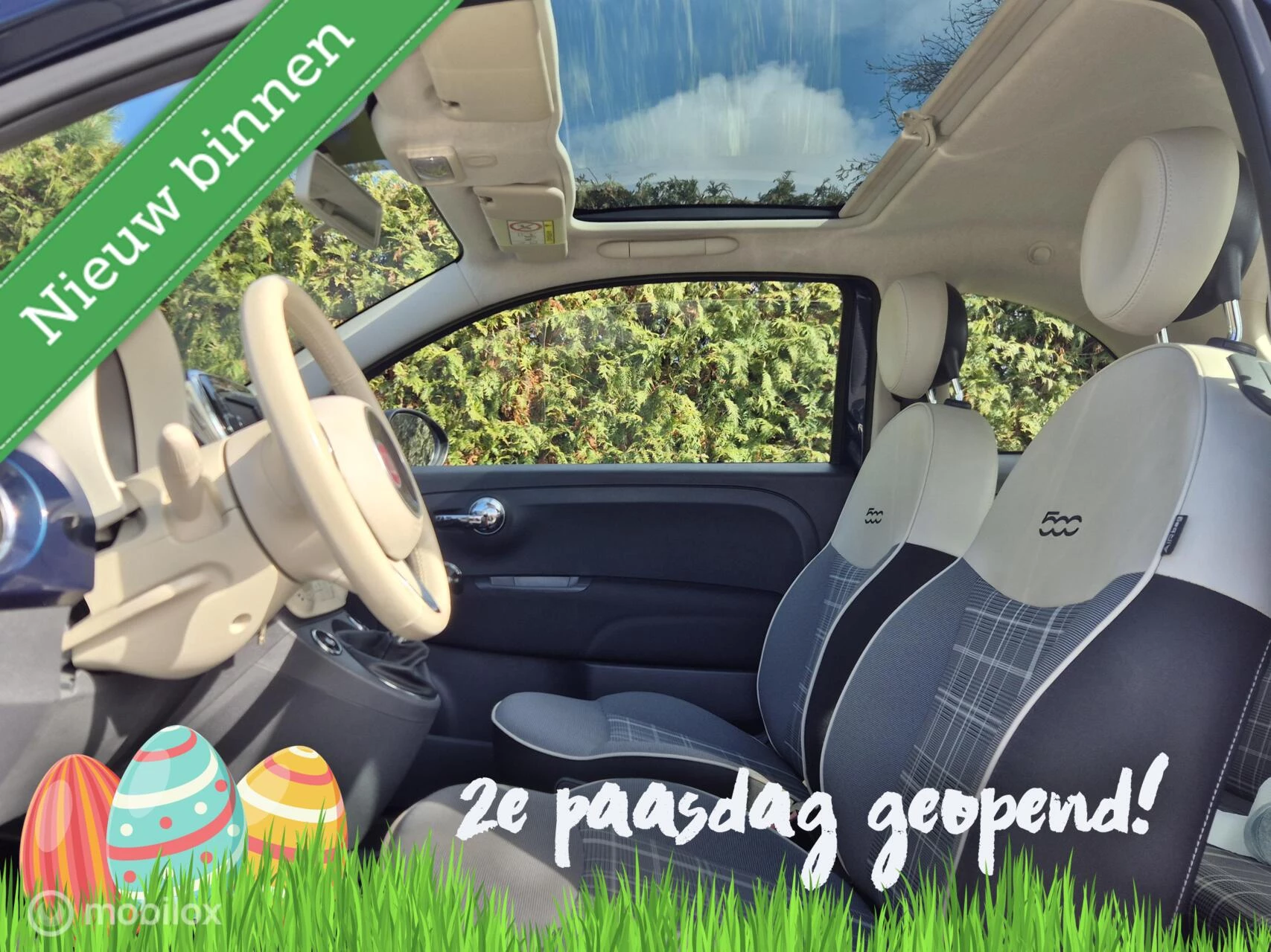 Hoofdafbeelding Fiat 500