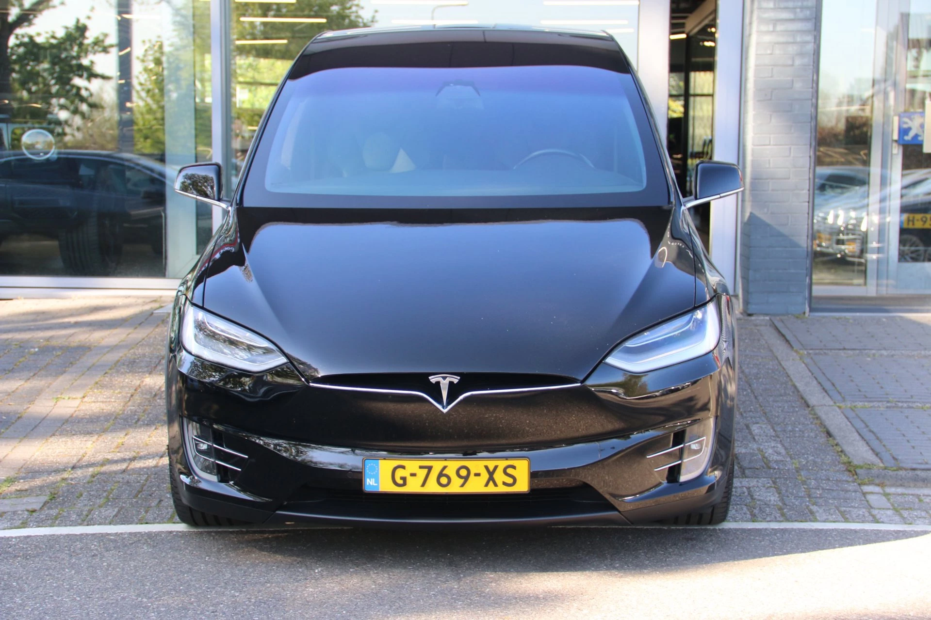 Hoofdafbeelding Tesla Model X