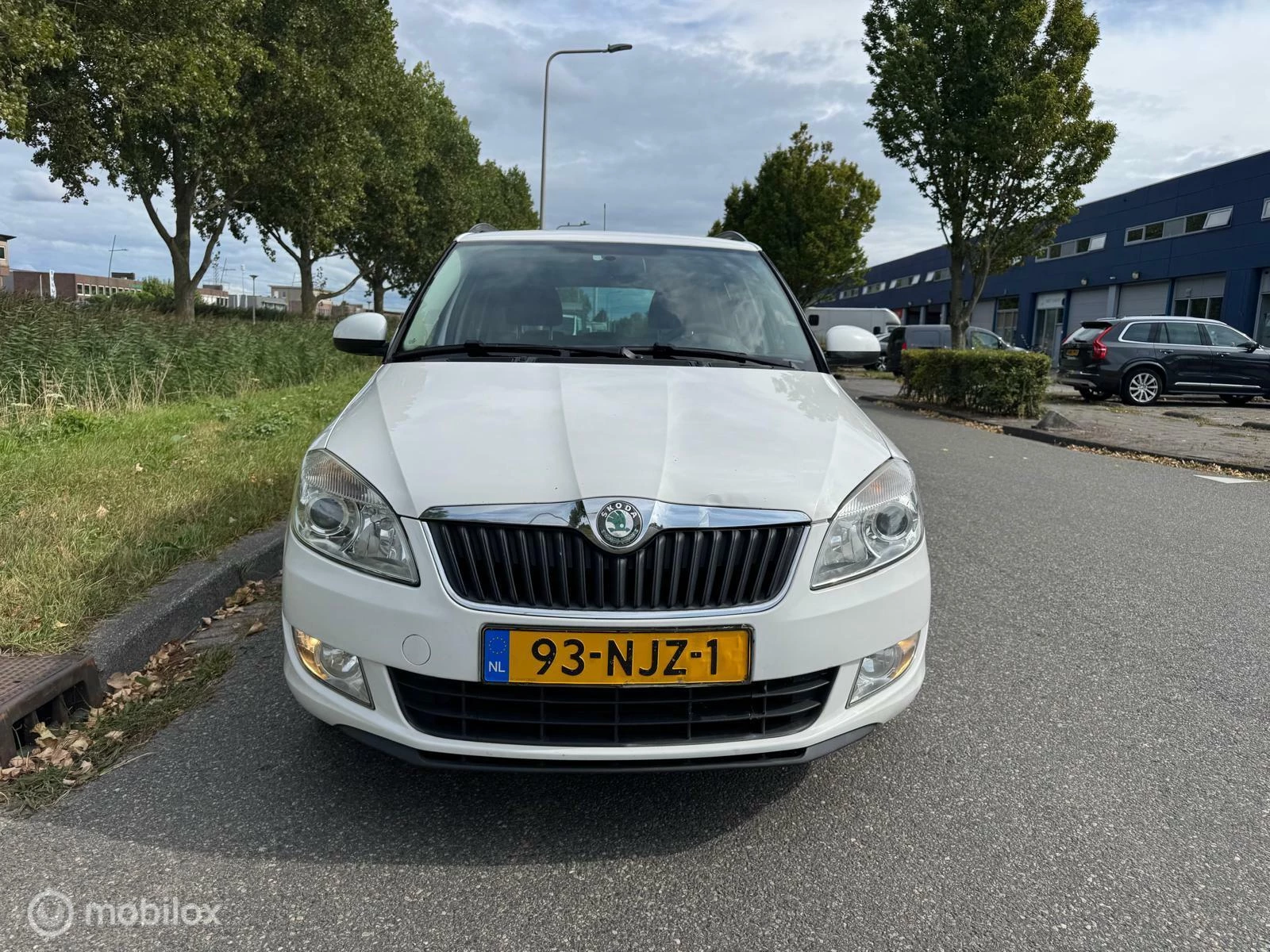 Hoofdafbeelding Škoda Fabia