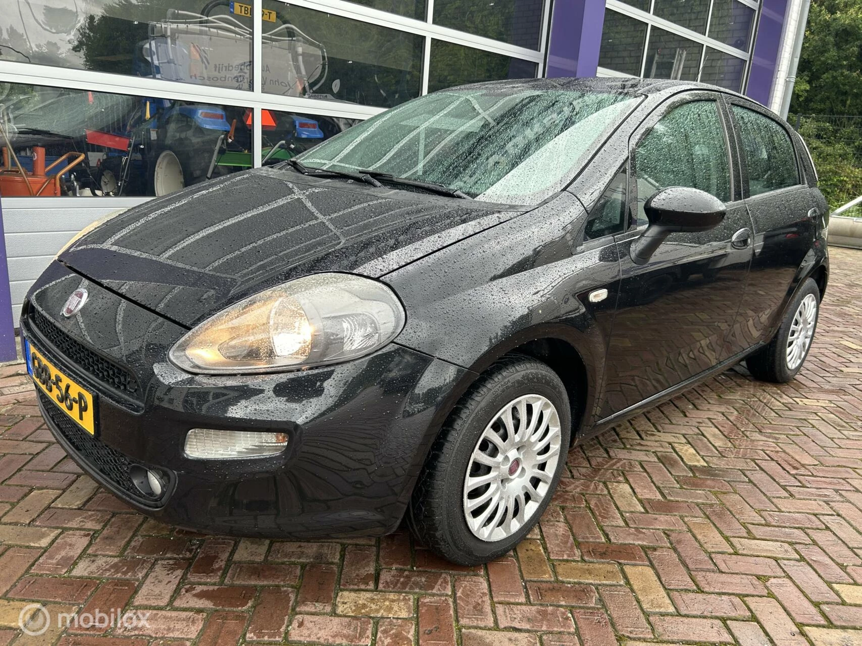 Hoofdafbeelding Fiat Punto