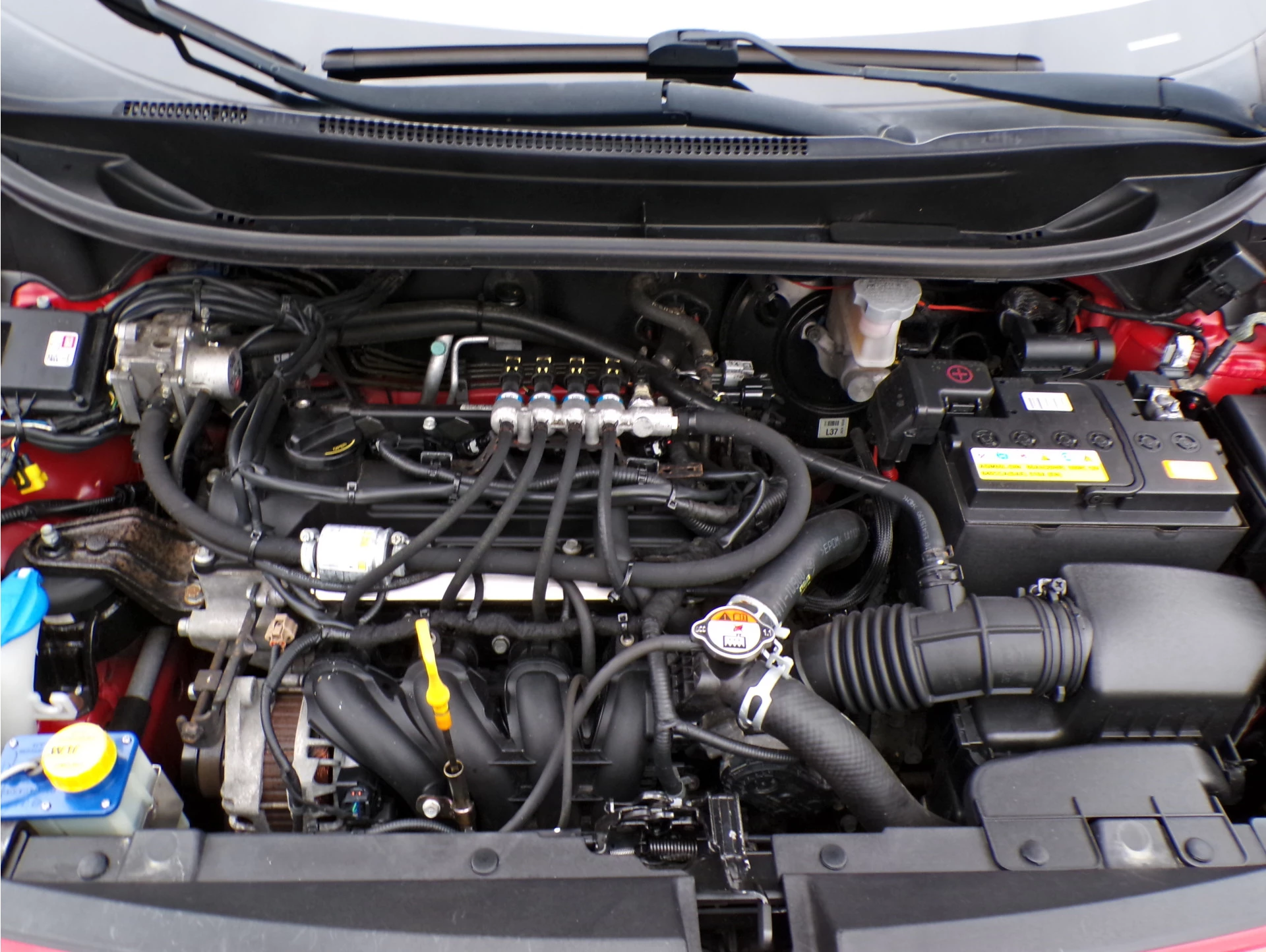 Hoofdafbeelding Kia Rio