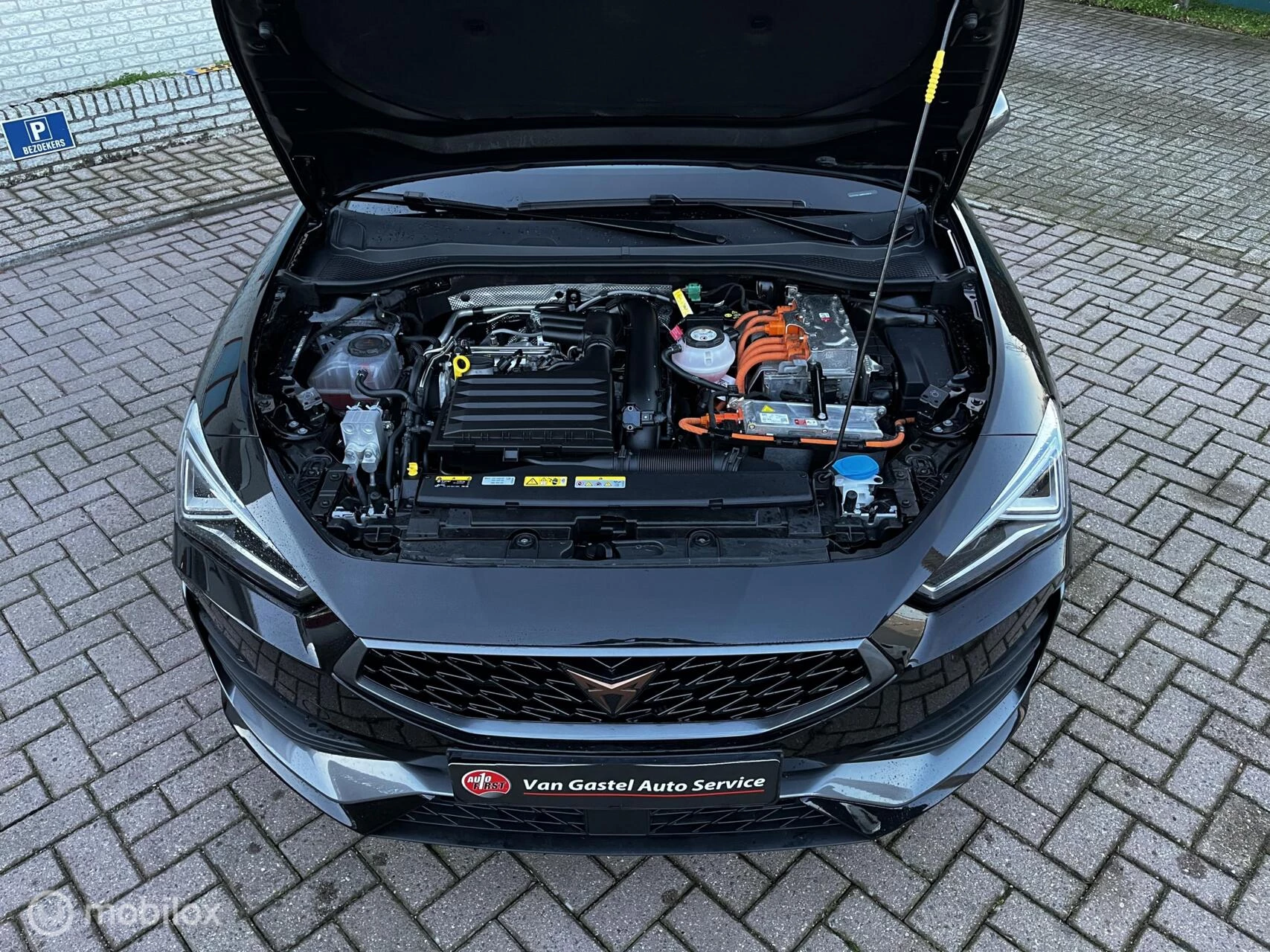 Hoofdafbeelding CUPRA Leon Sportstourer