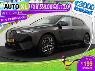 BMW iX xDrive40 Executive 77 kWh M-Sport Dodehoek Camera Leer 3