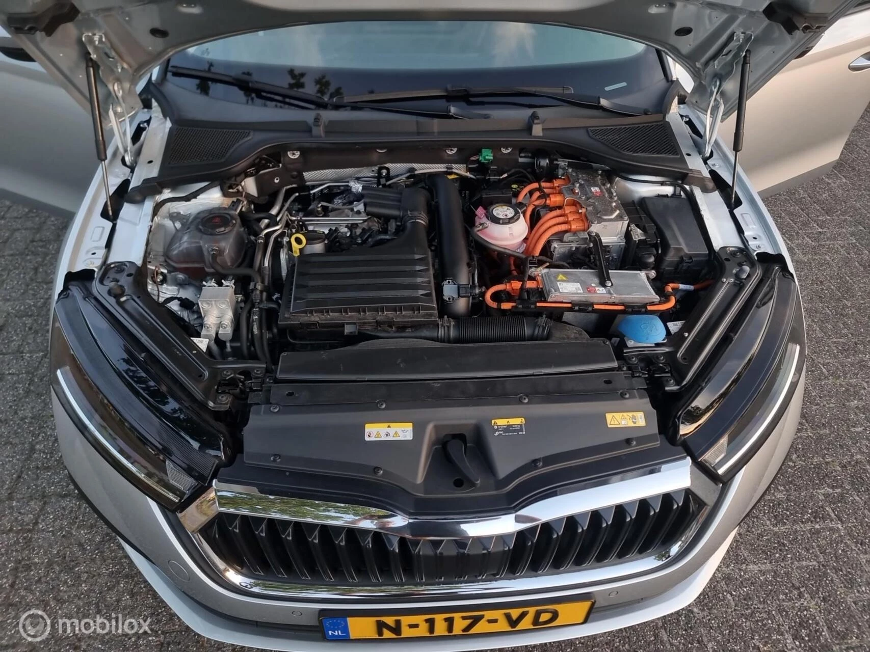 Hoofdafbeelding Škoda Octavia