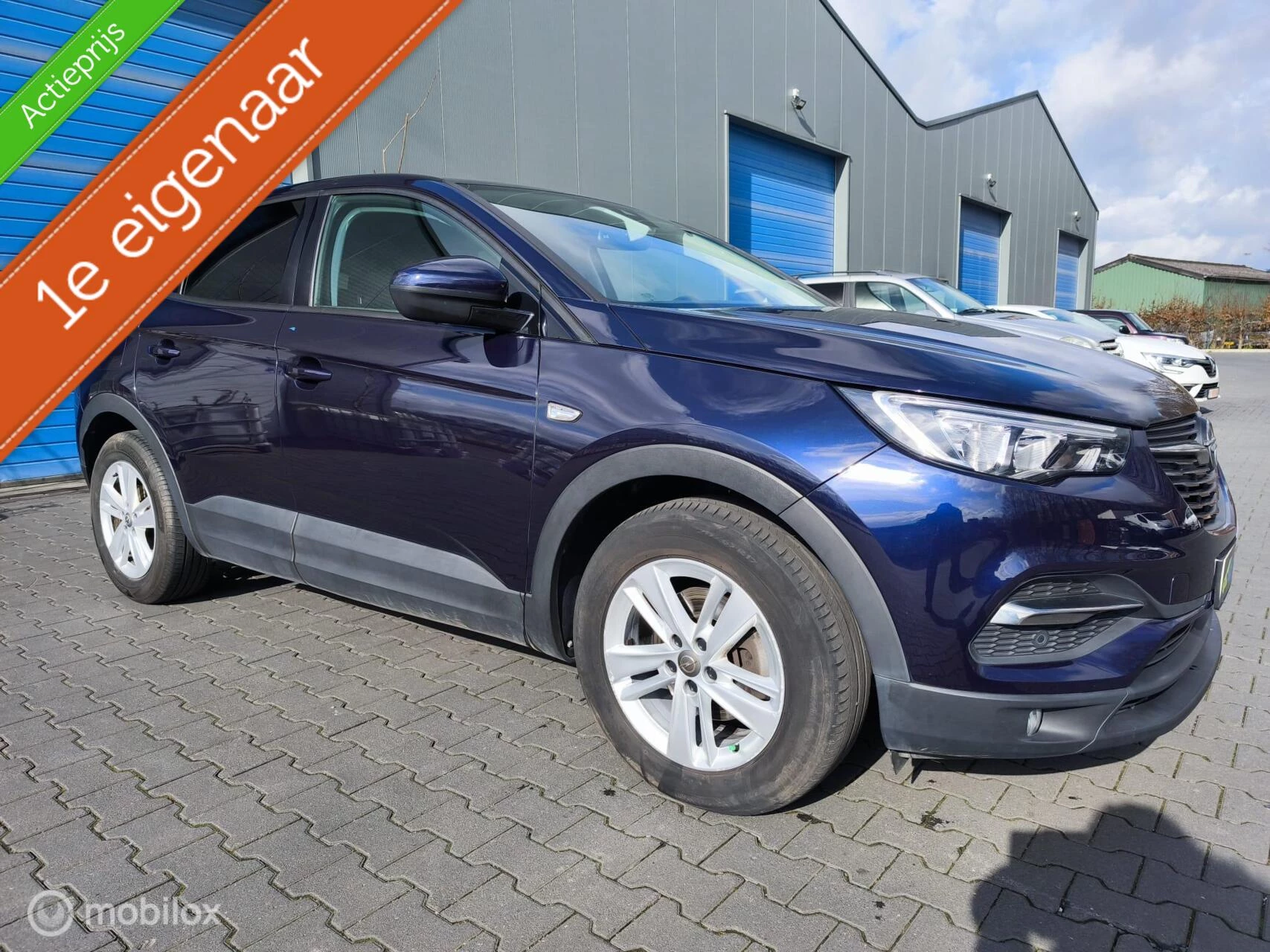 Hoofdafbeelding Opel Grandland X