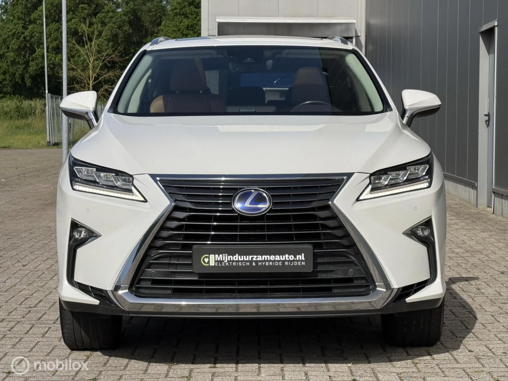 Hoofdafbeelding Lexus RX