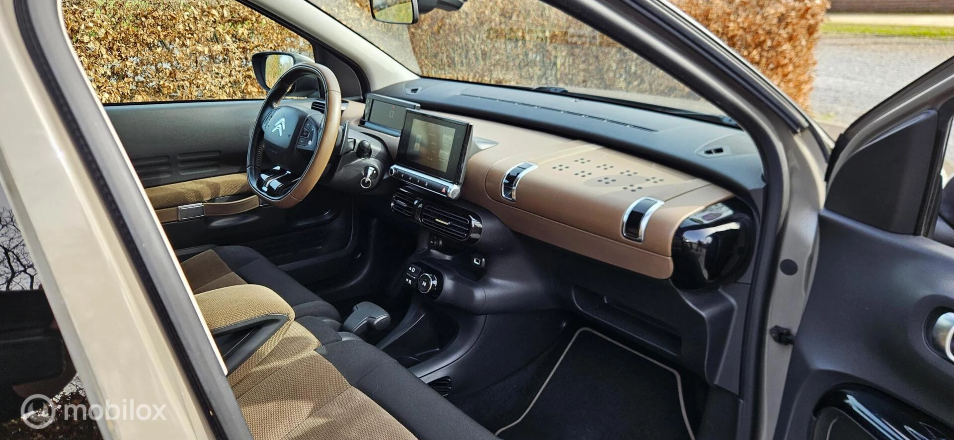 Hoofdafbeelding Citroën C4 Cactus