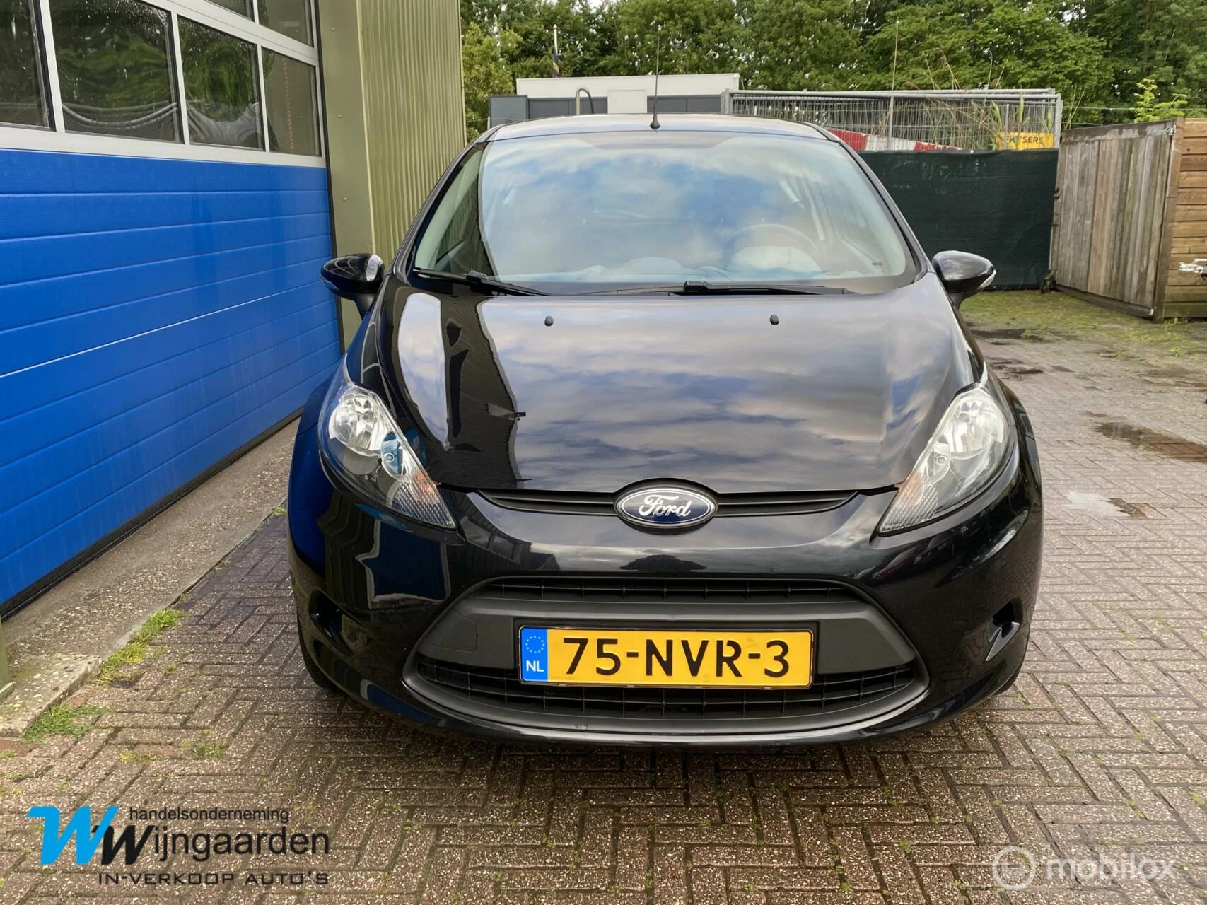 Hoofdafbeelding Ford Fiesta
