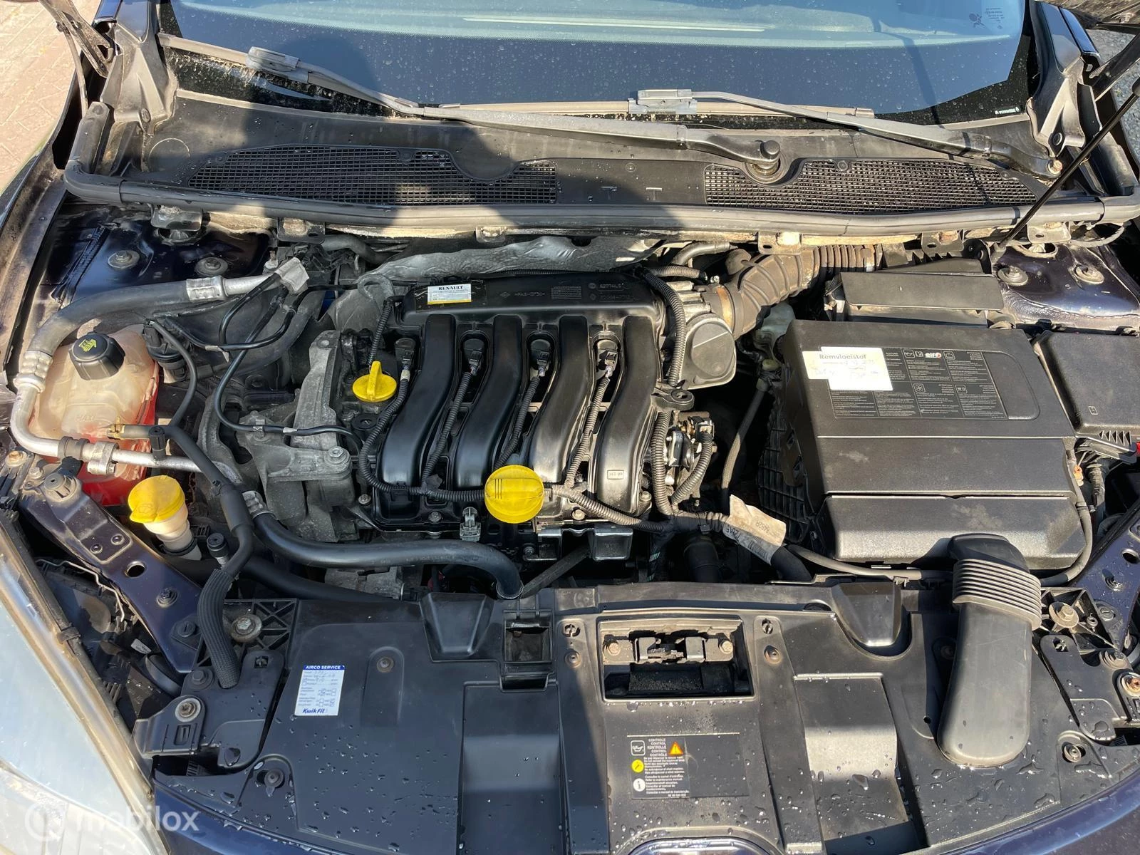 Hoofdafbeelding Renault Mégane