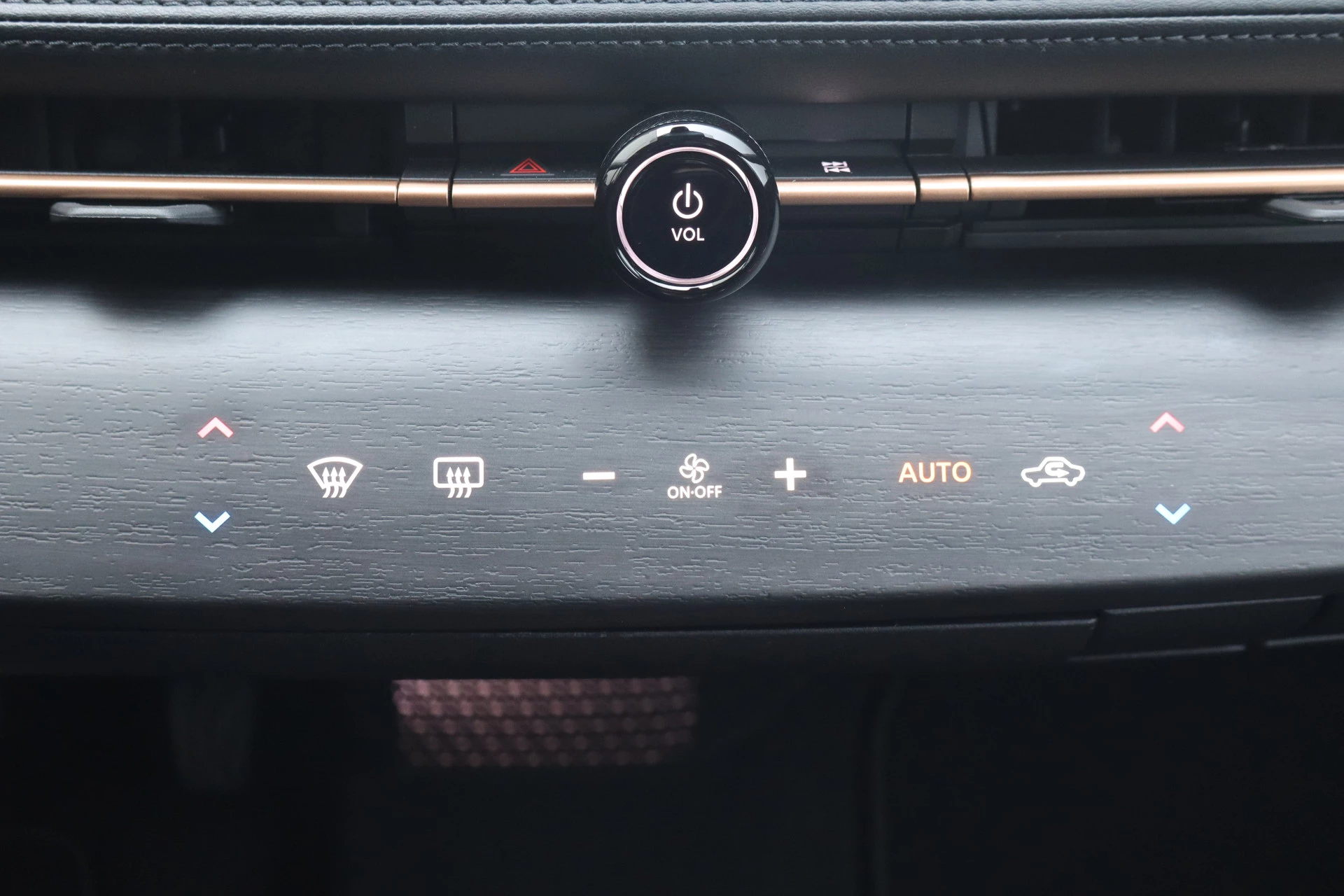 Hoofdafbeelding Nissan ARIYA