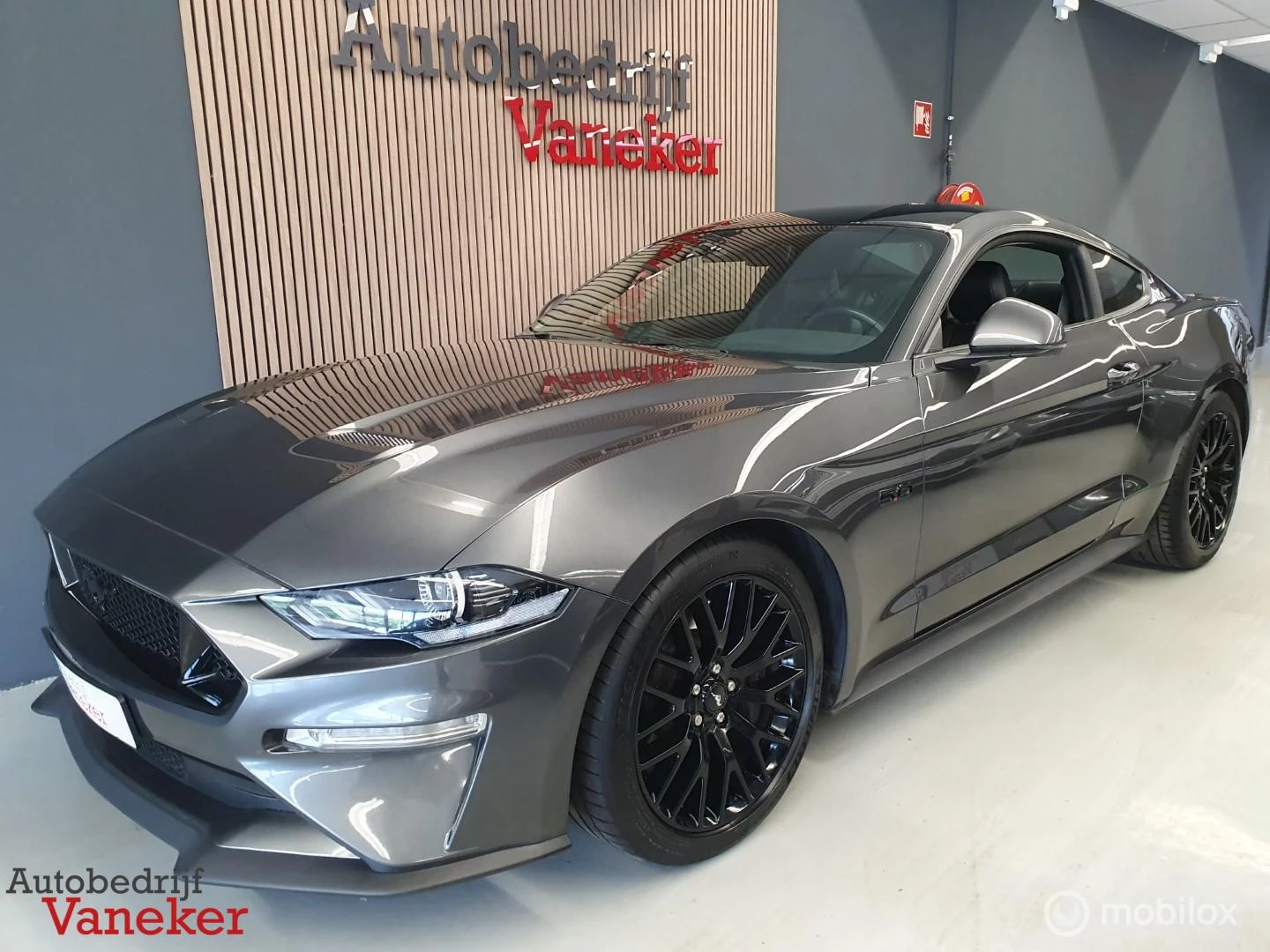 Hoofdafbeelding Ford Mustang