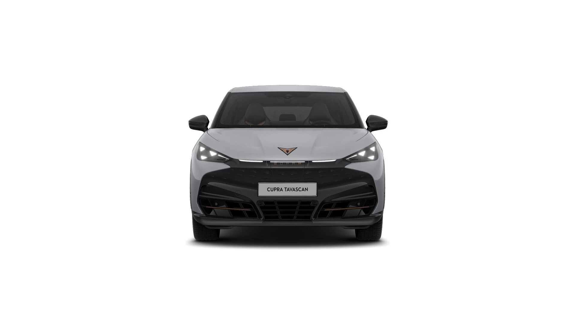 Hoofdafbeelding CUPRA Tavascan