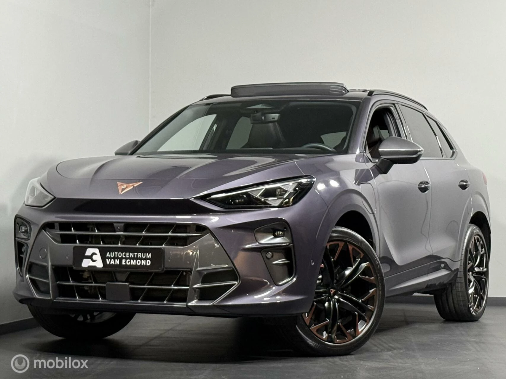 Hoofdafbeelding CUPRA Terramar