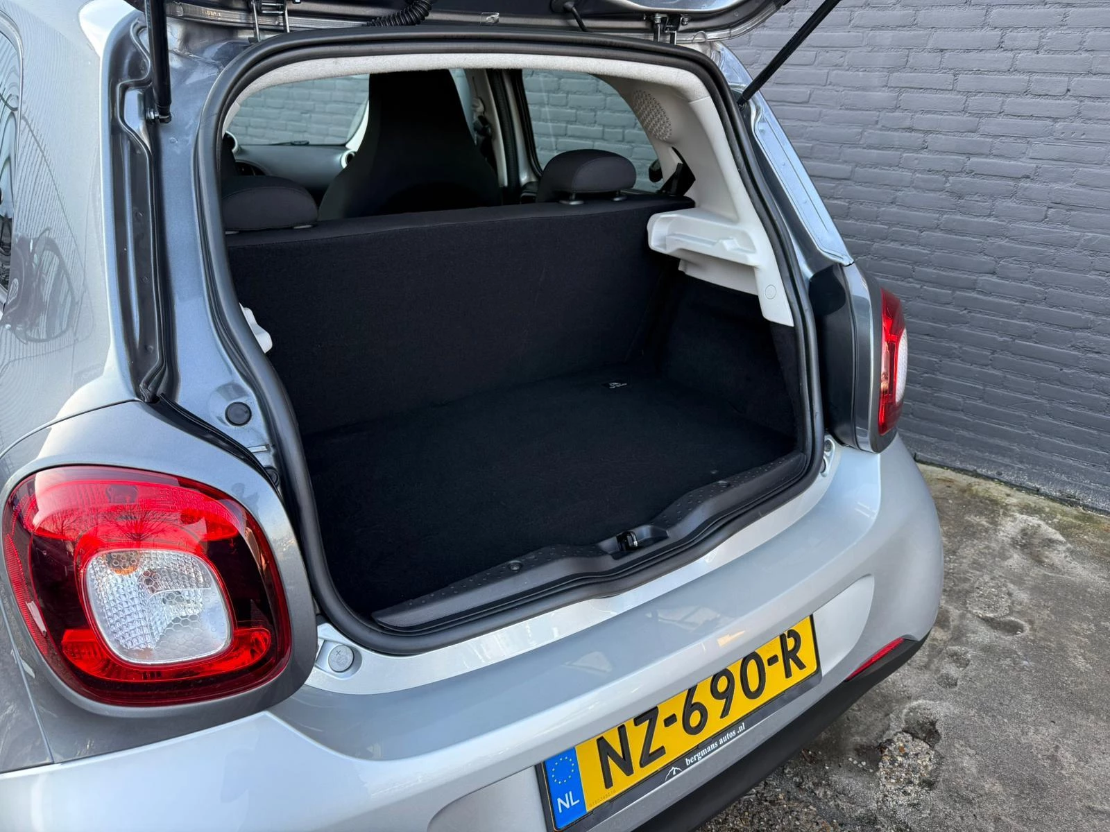 Hoofdafbeelding smart Forfour