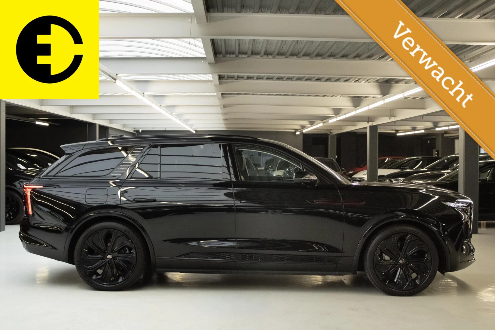 Hoofdafbeelding Hongqi E-HS9