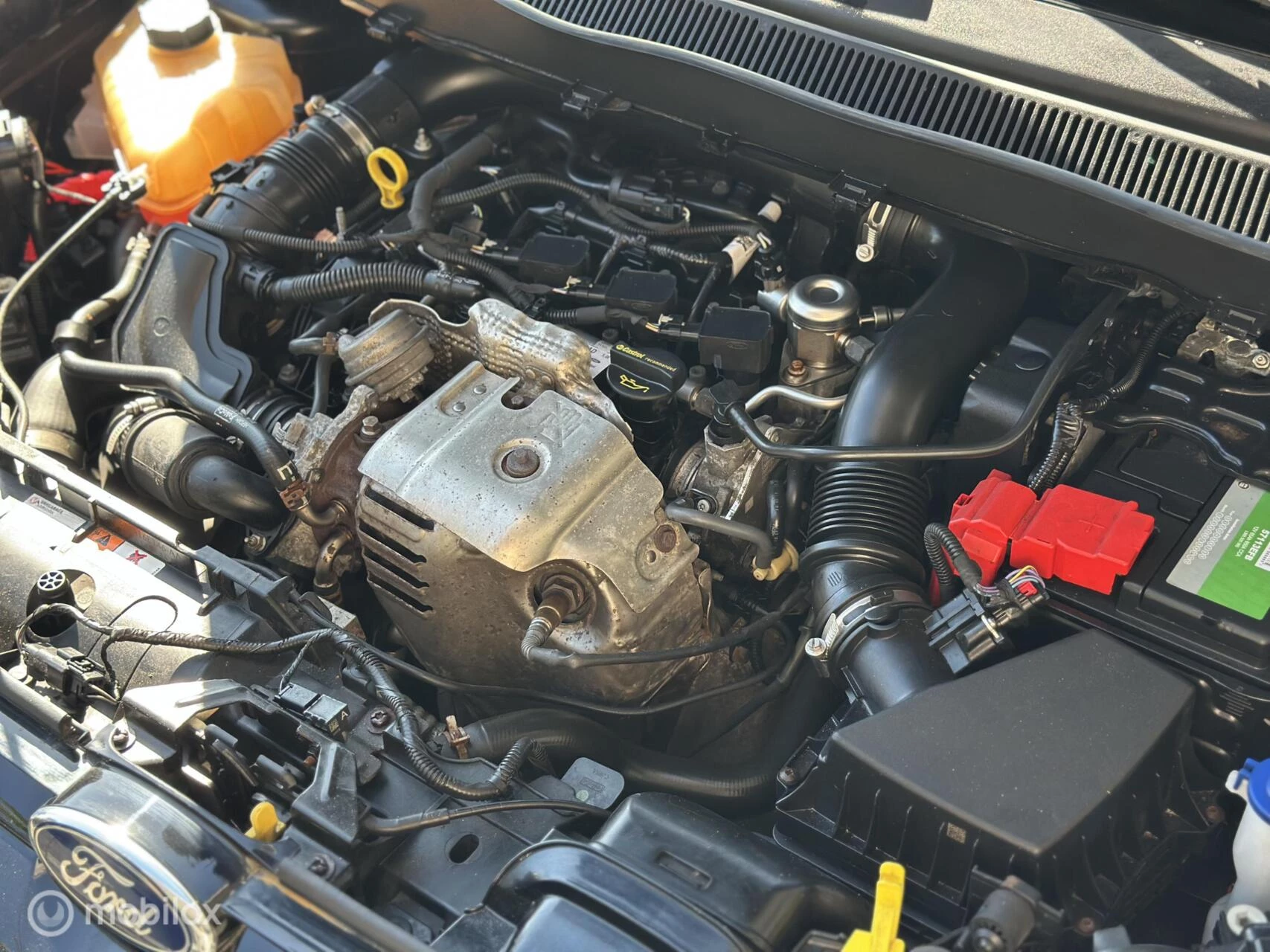 Hoofdafbeelding Ford B-MAX