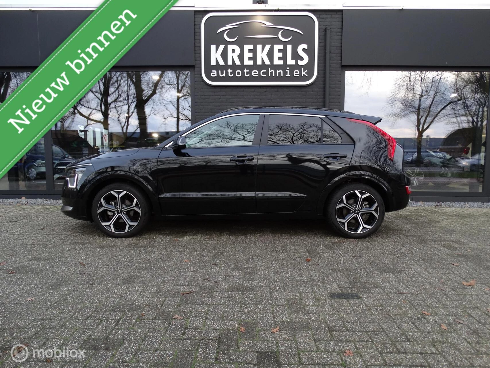 Hoofdafbeelding Kia Niro