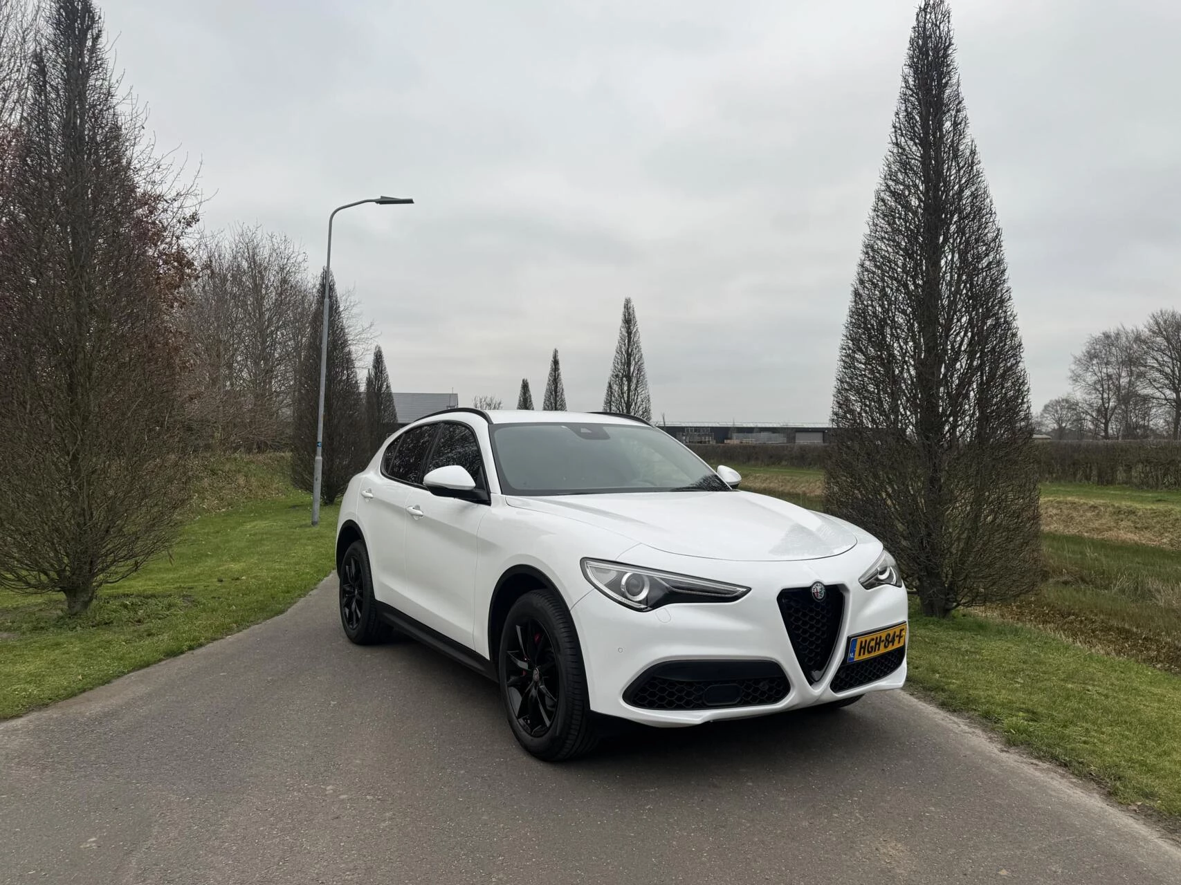 Hoofdafbeelding Alfa Romeo Stelvio