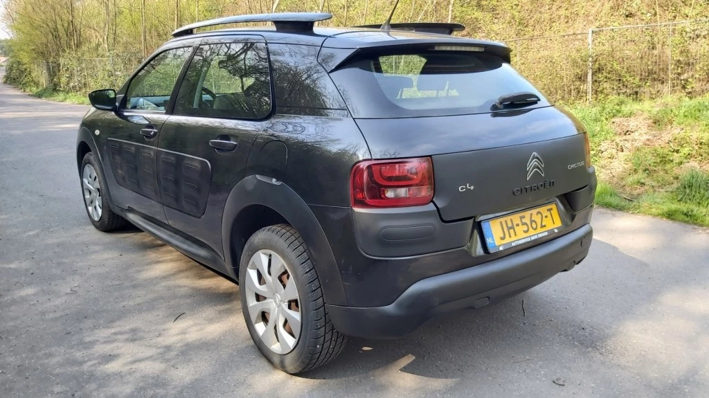 Hoofdafbeelding Citroën C4 Cactus