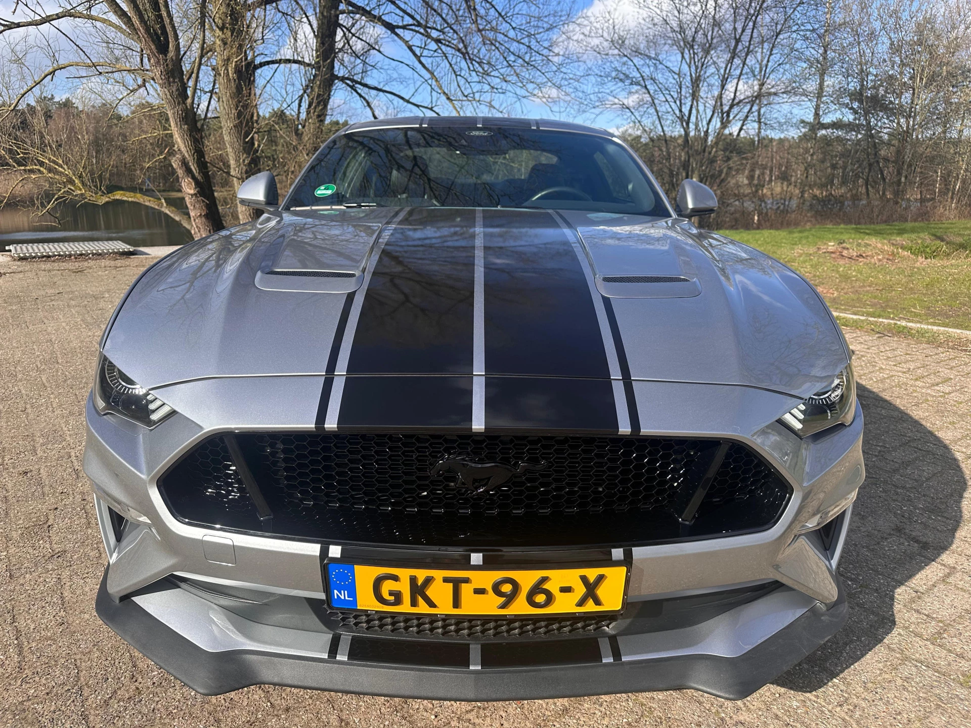 Hoofdafbeelding Ford Mustang