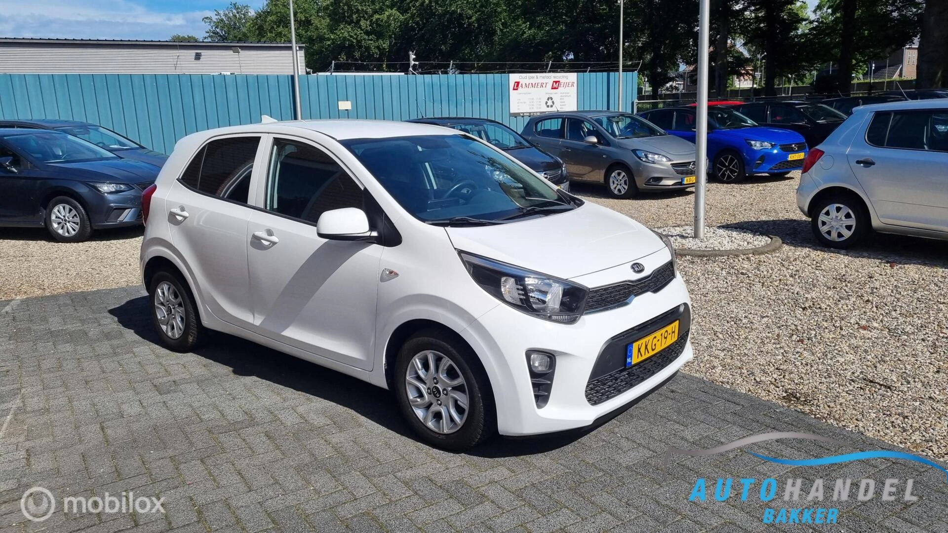 Hoofdafbeelding Kia Picanto