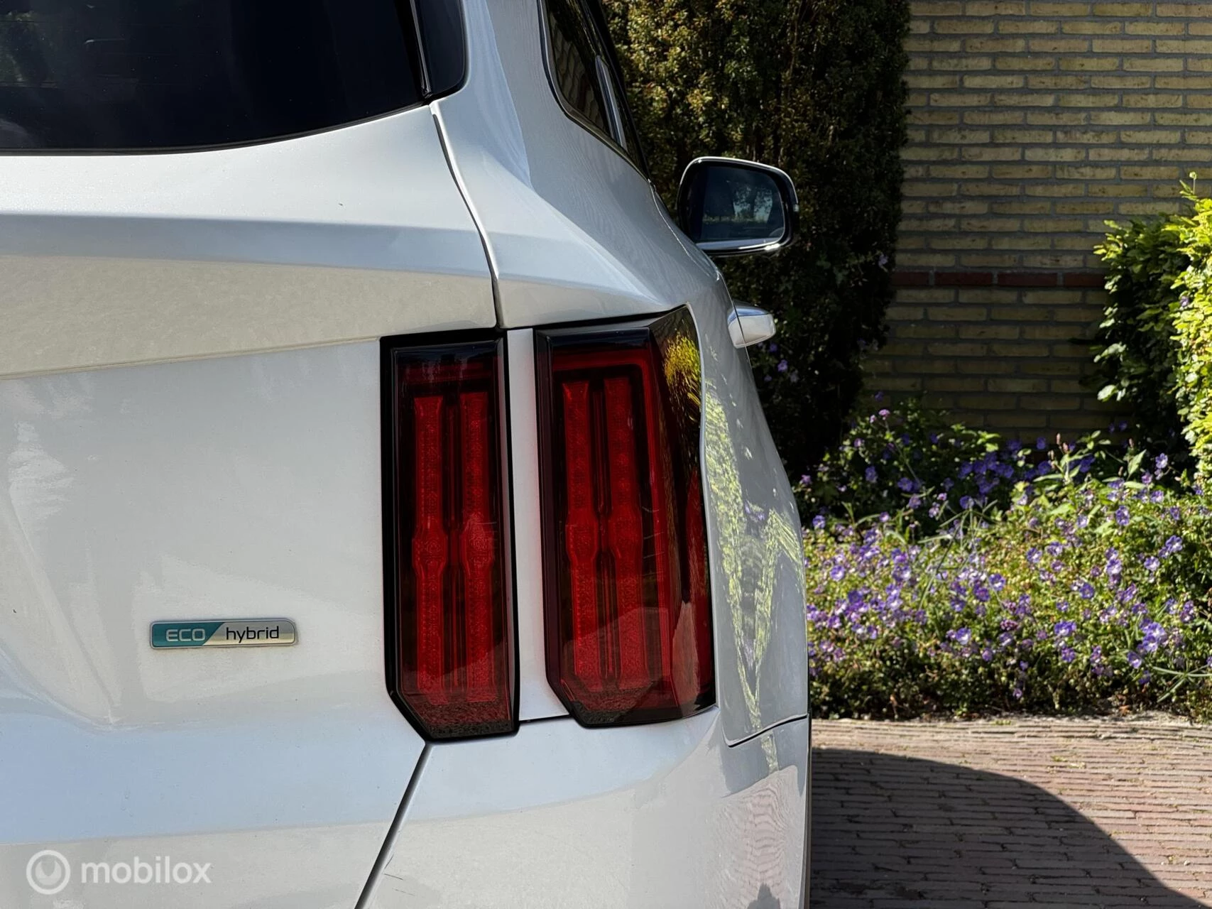 Hoofdafbeelding Kia Sorento