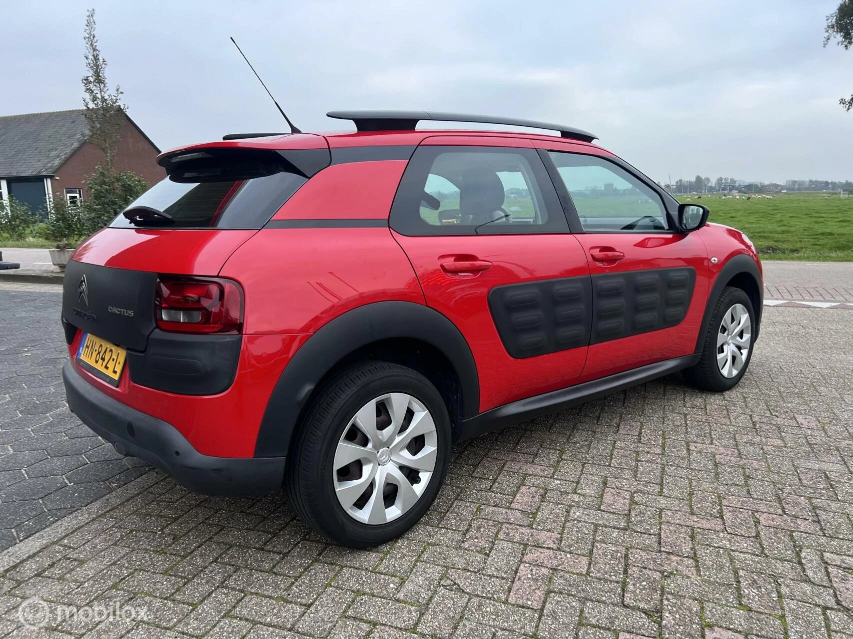 Hoofdafbeelding Citroën C4 Cactus