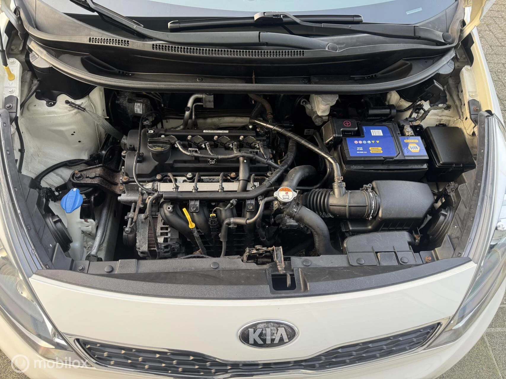 Hoofdafbeelding Kia Rio