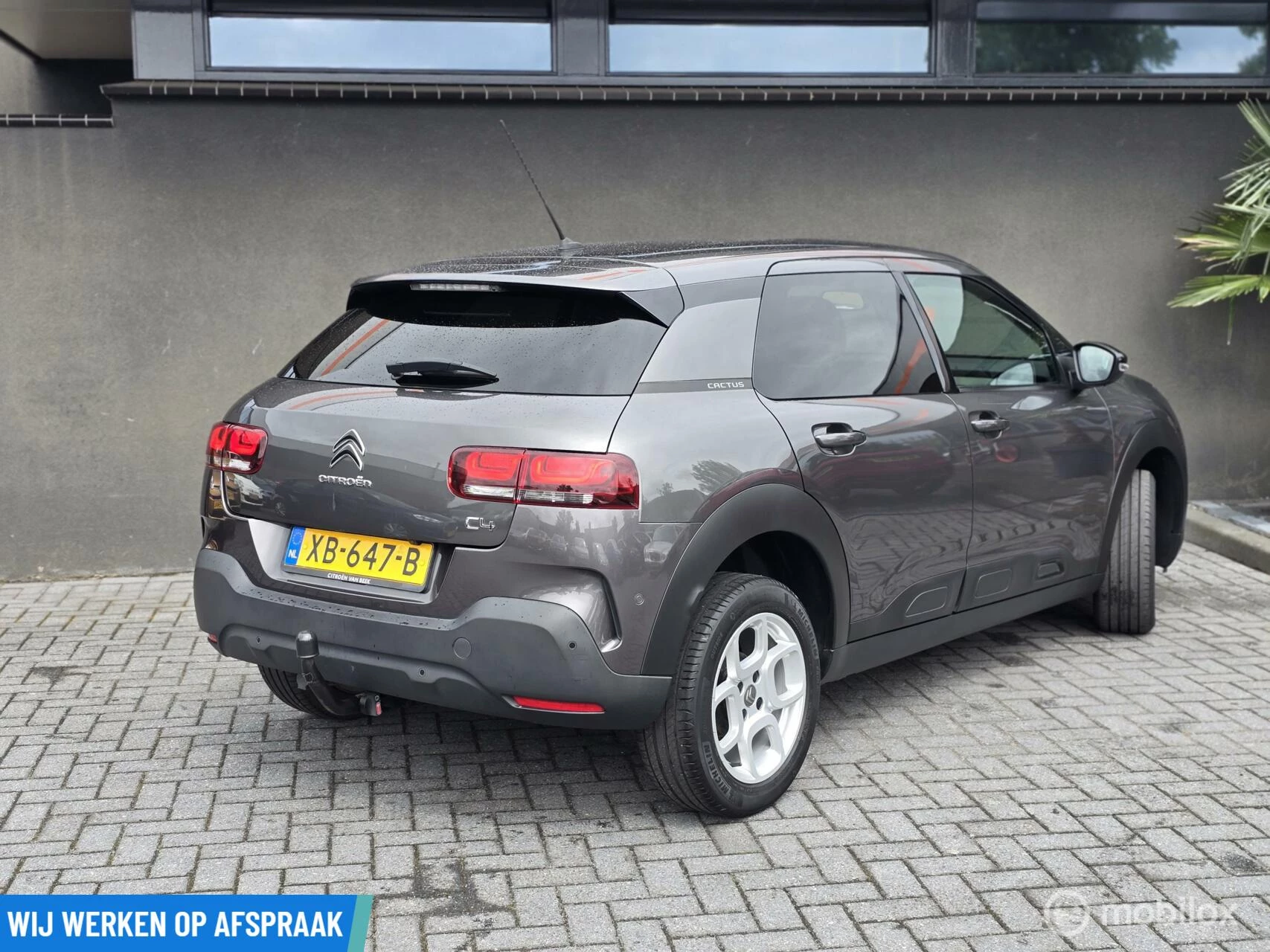 Hoofdafbeelding Citroën C4 Cactus