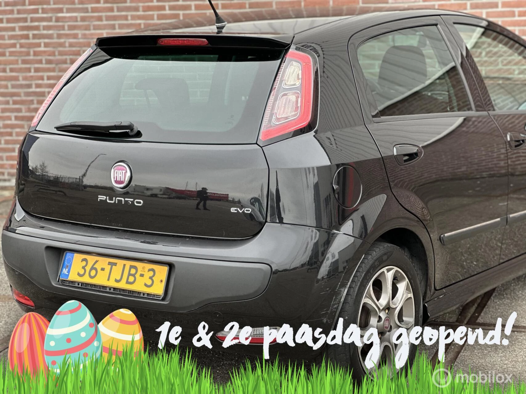 Hoofdafbeelding Fiat Punto