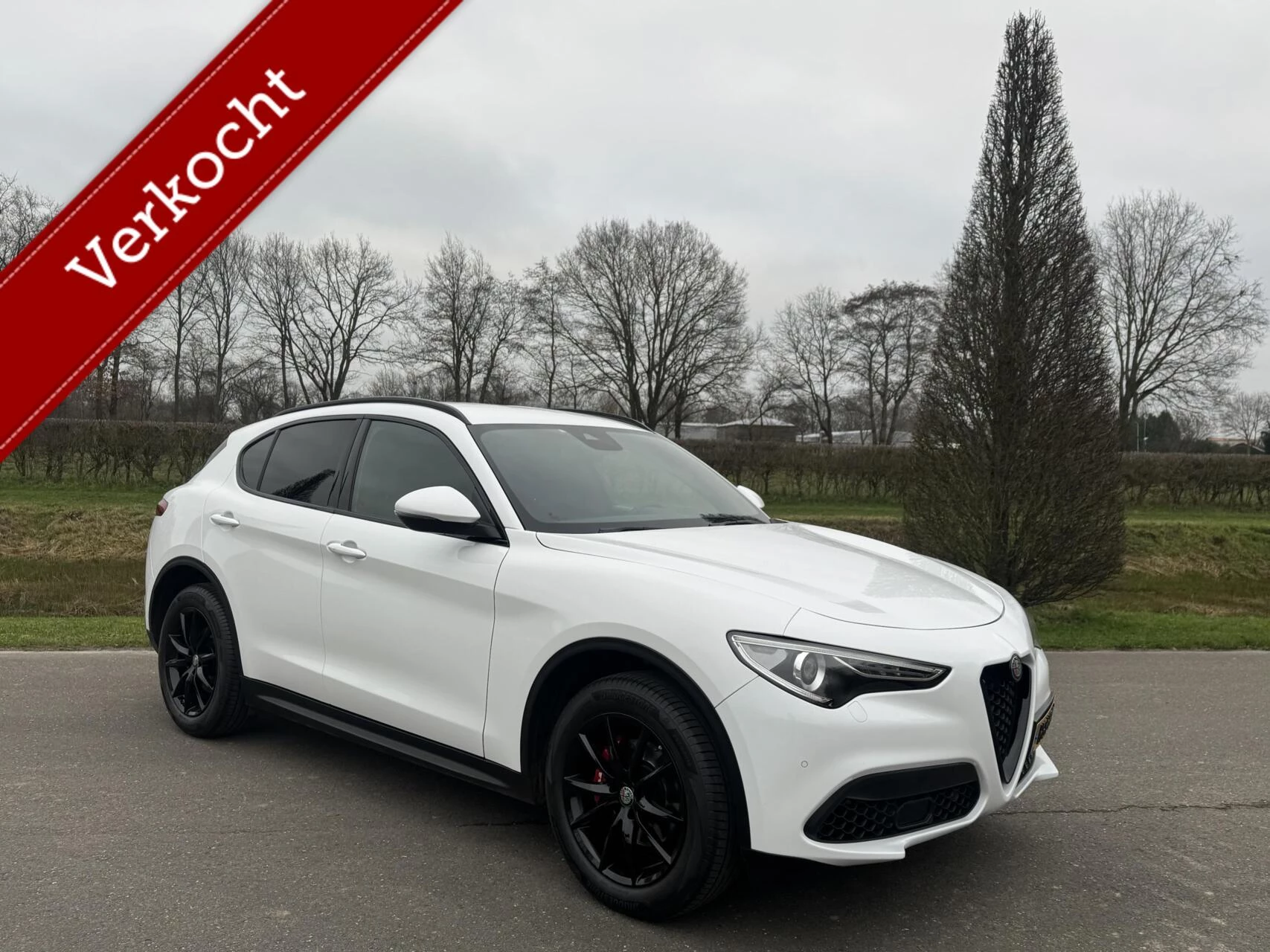 Hoofdafbeelding Alfa Romeo Stelvio