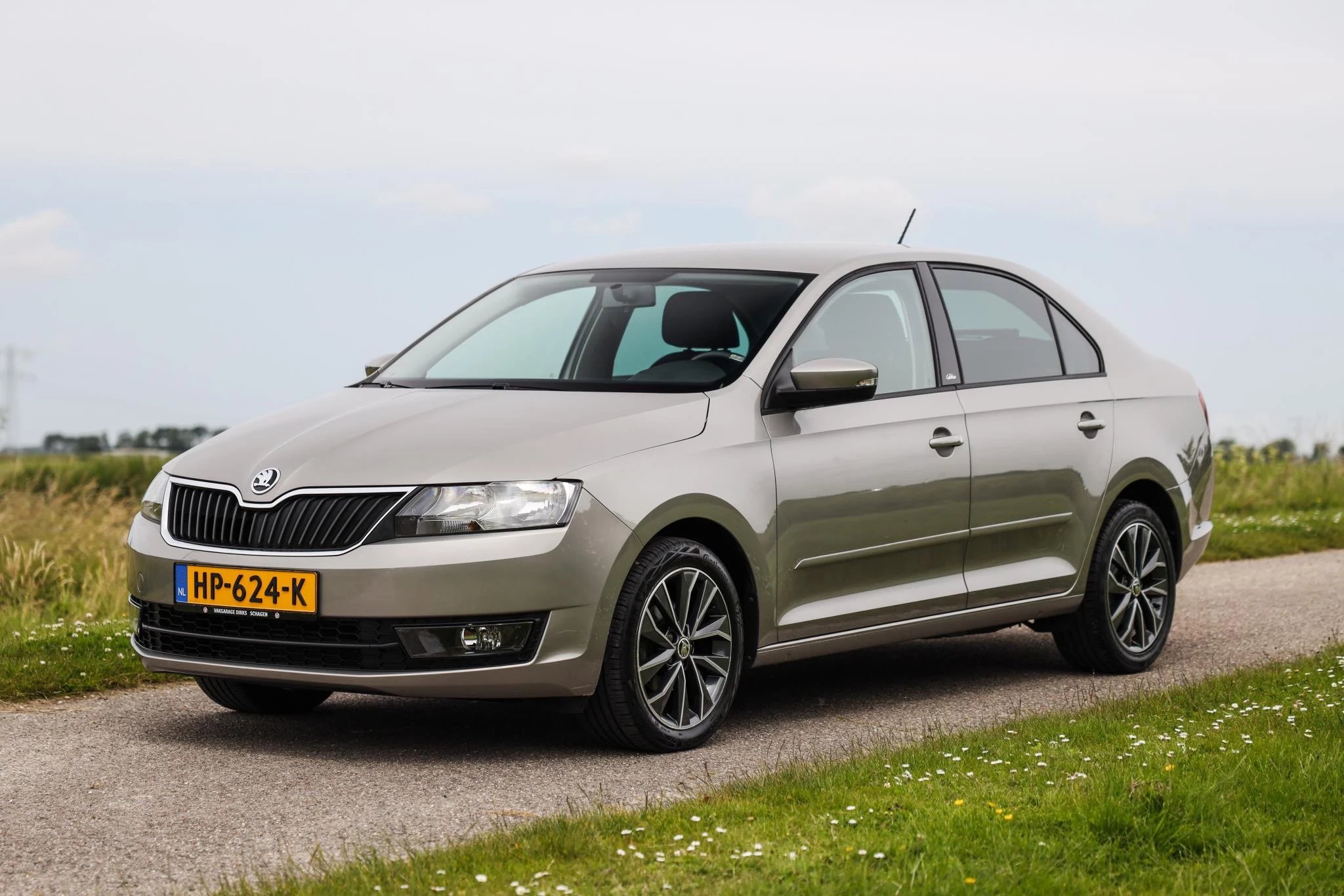 Hoofdafbeelding Škoda Rapid