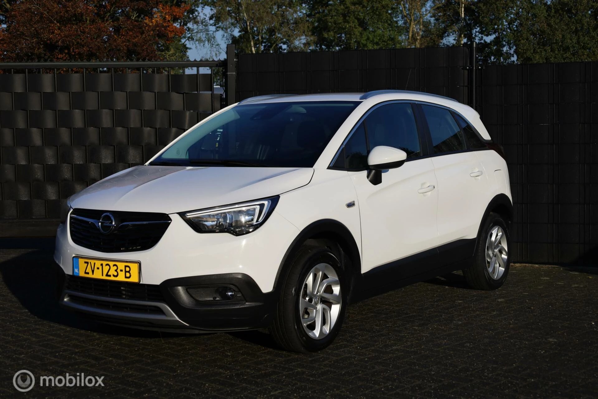 Hoofdafbeelding Opel Crossland X