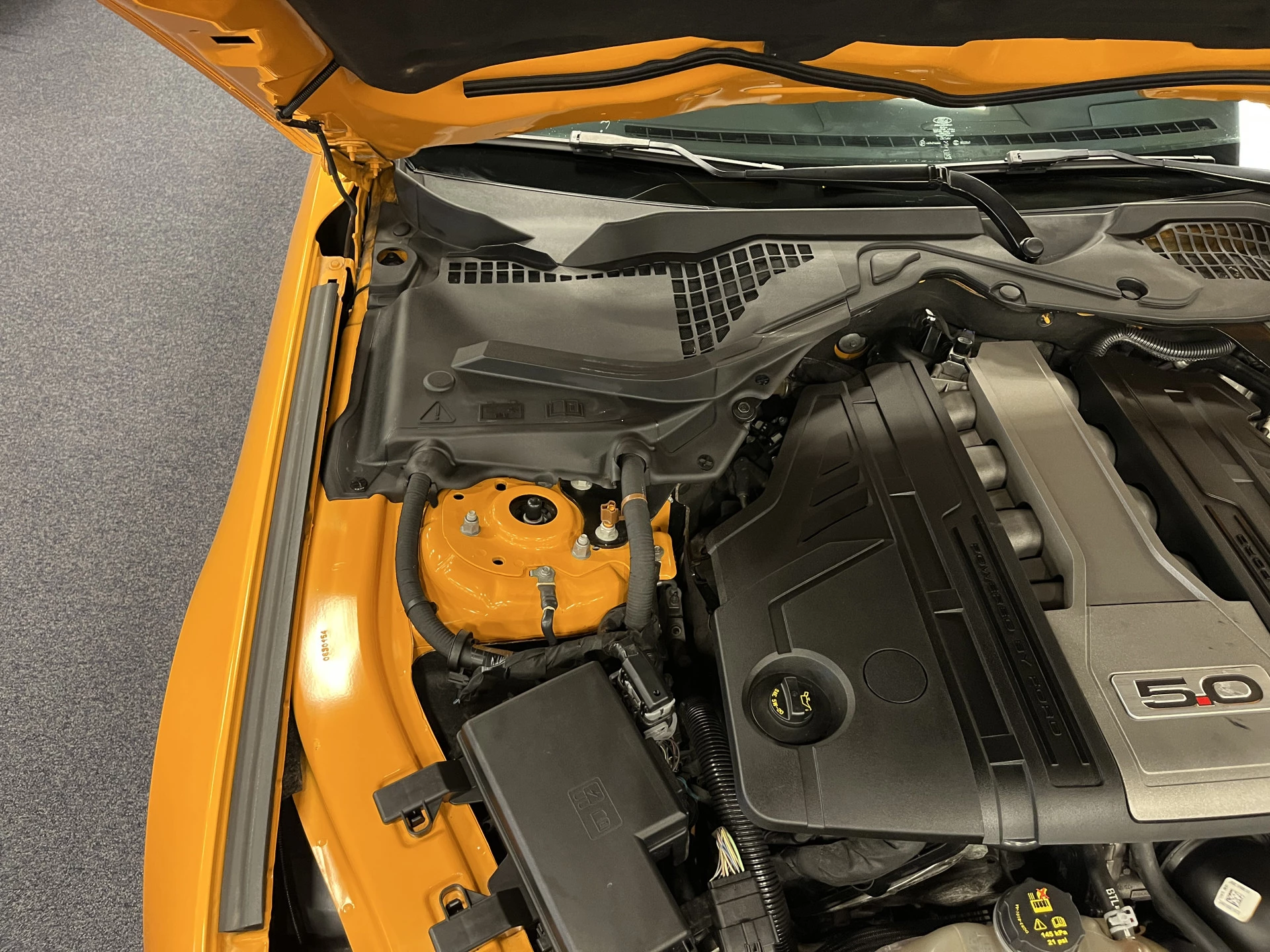 Hoofdafbeelding Ford Mustang