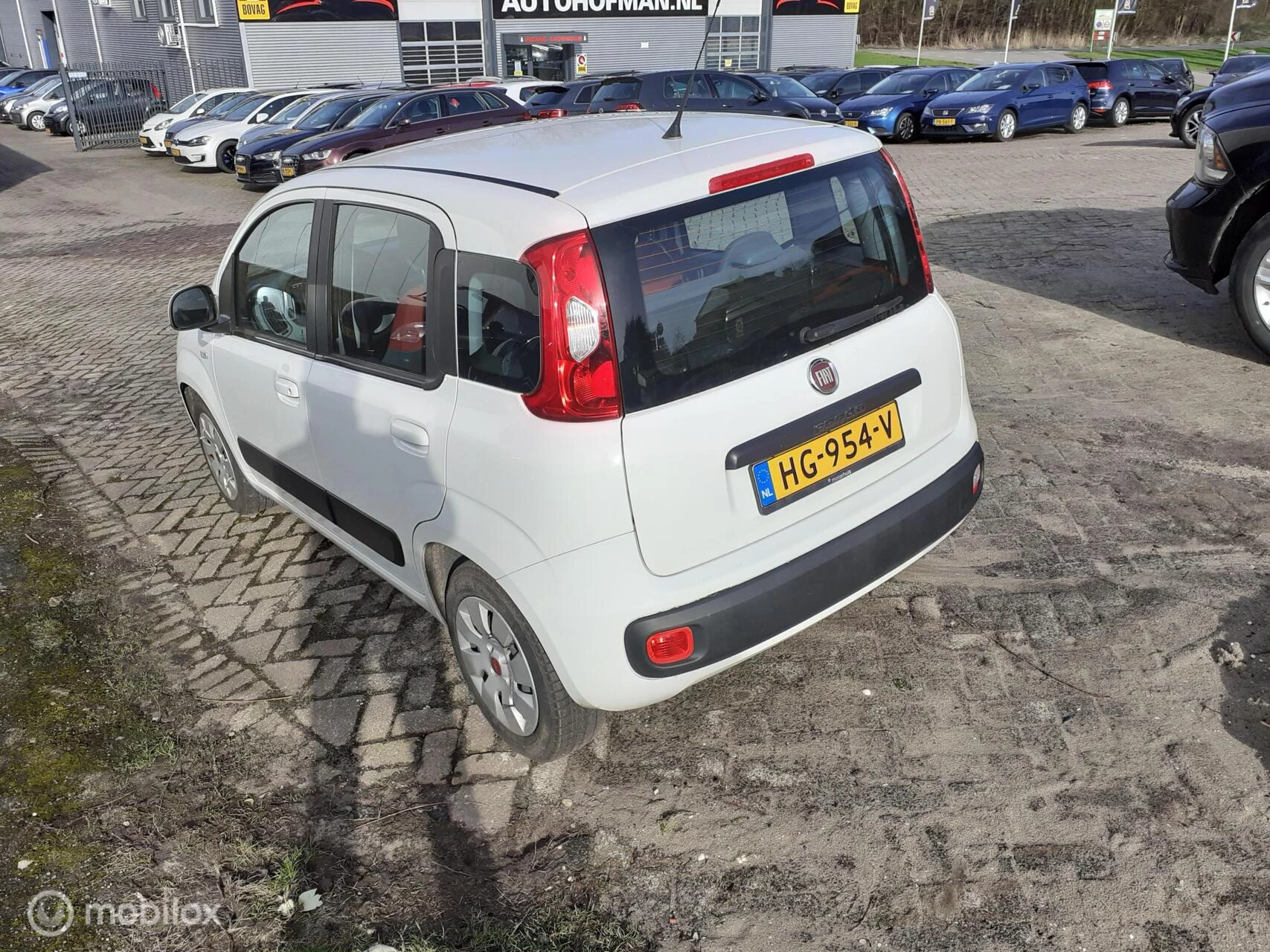 Hoofdafbeelding Fiat Panda