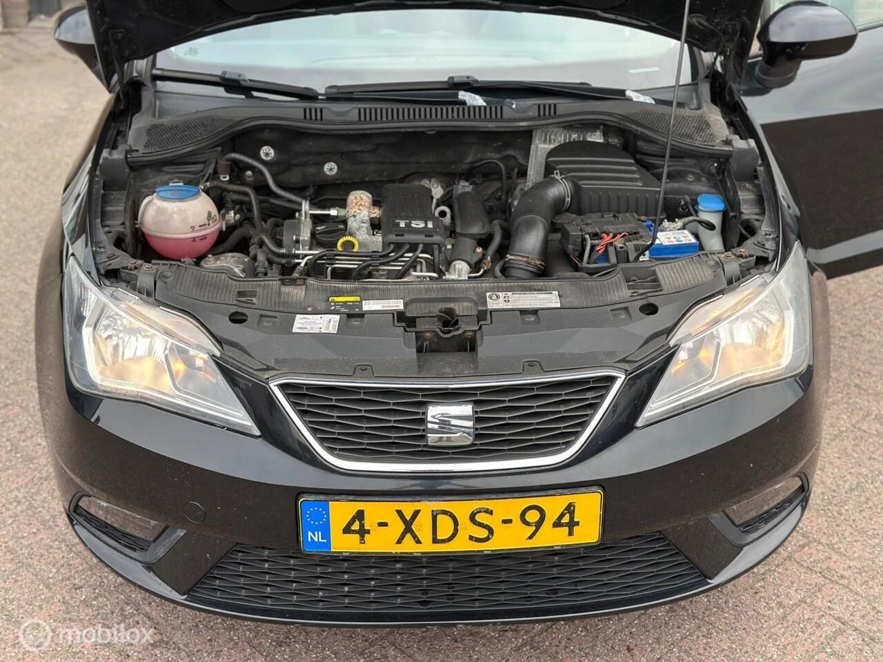 Hoofdafbeelding SEAT Ibiza