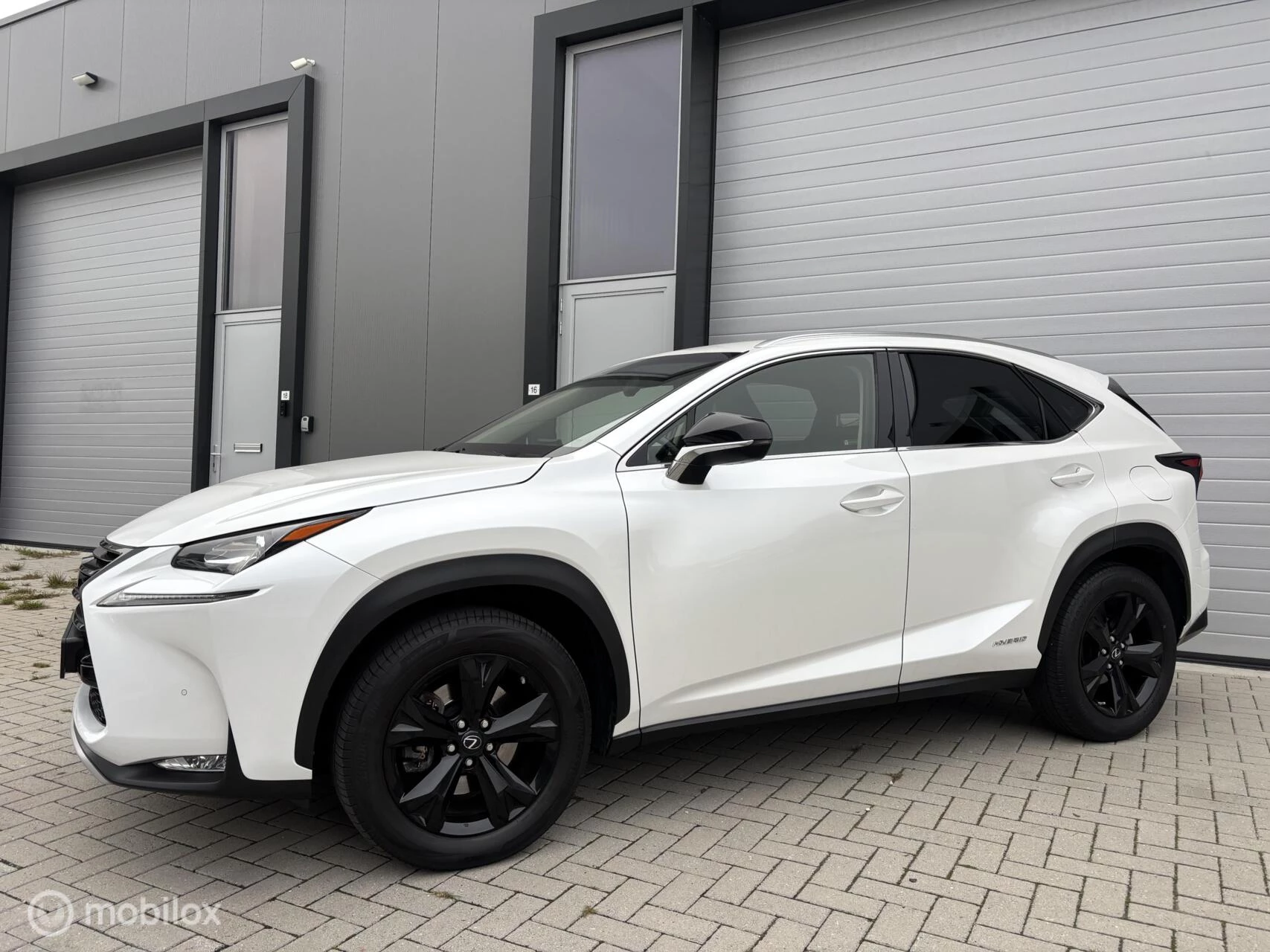 Hoofdafbeelding Lexus NX
