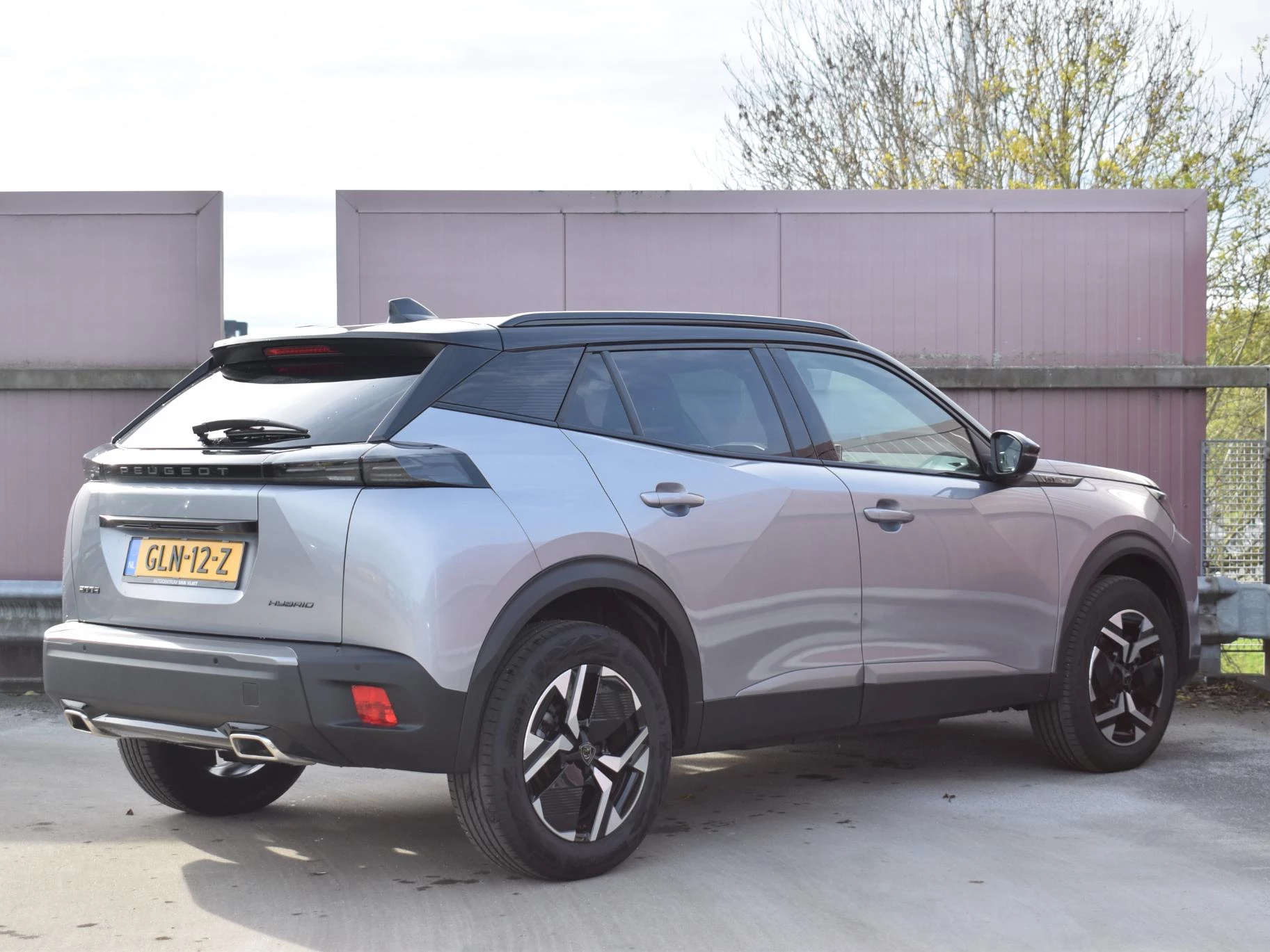 Hoofdafbeelding Peugeot 2008