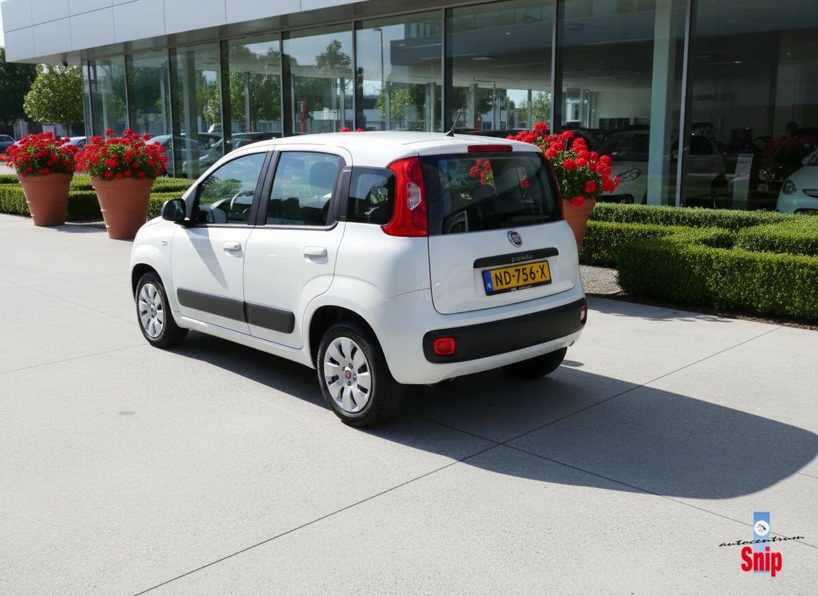 Hoofdafbeelding Fiat Panda