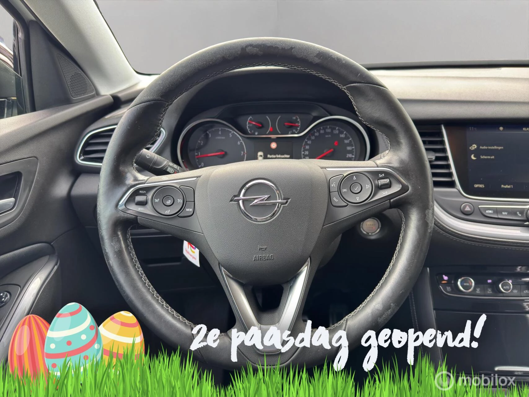 Hoofdafbeelding Opel Grandland X