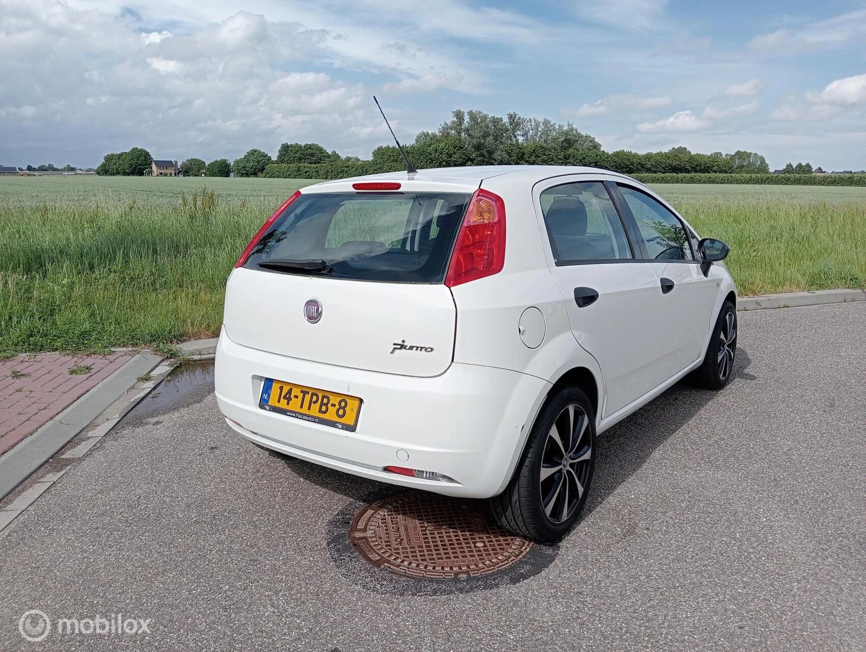 Hoofdafbeelding Fiat Punto