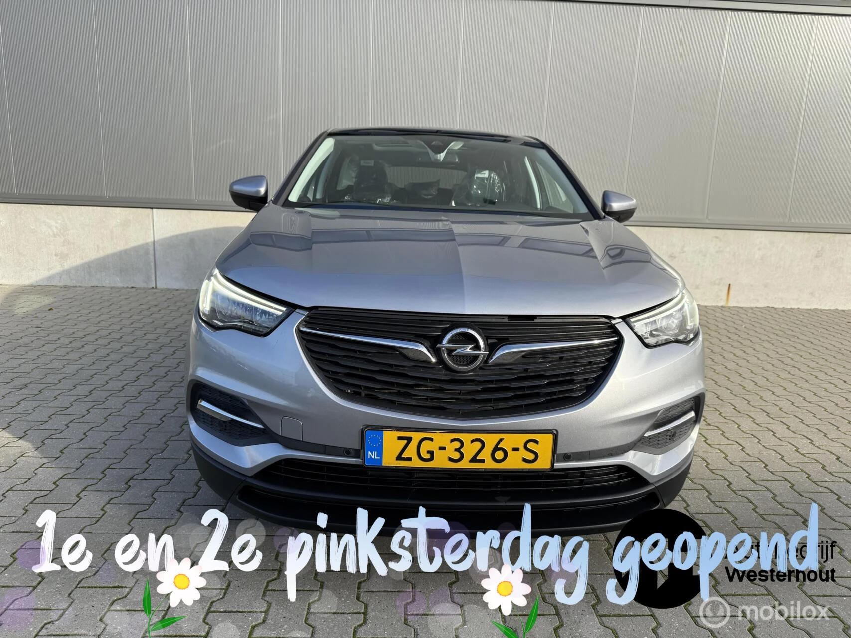 Hoofdafbeelding Opel Grandland X