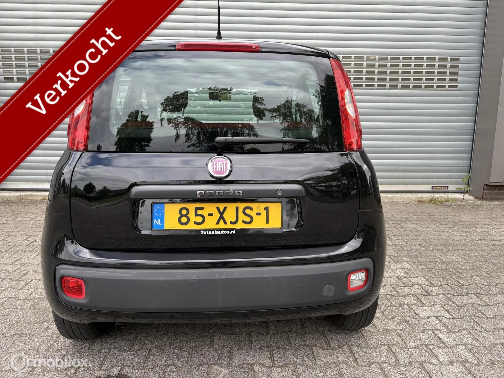 Hoofdafbeelding Fiat Panda