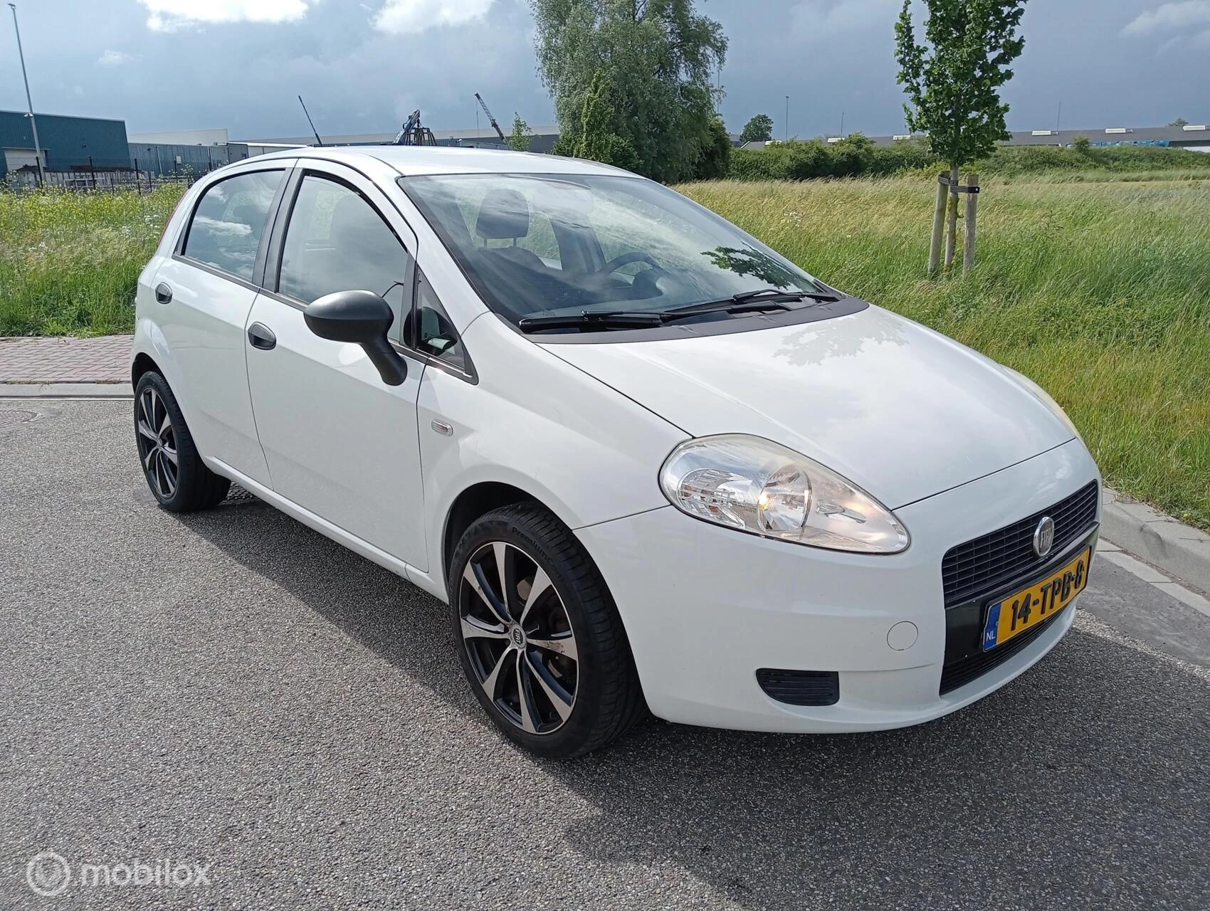 Hoofdafbeelding Fiat Punto