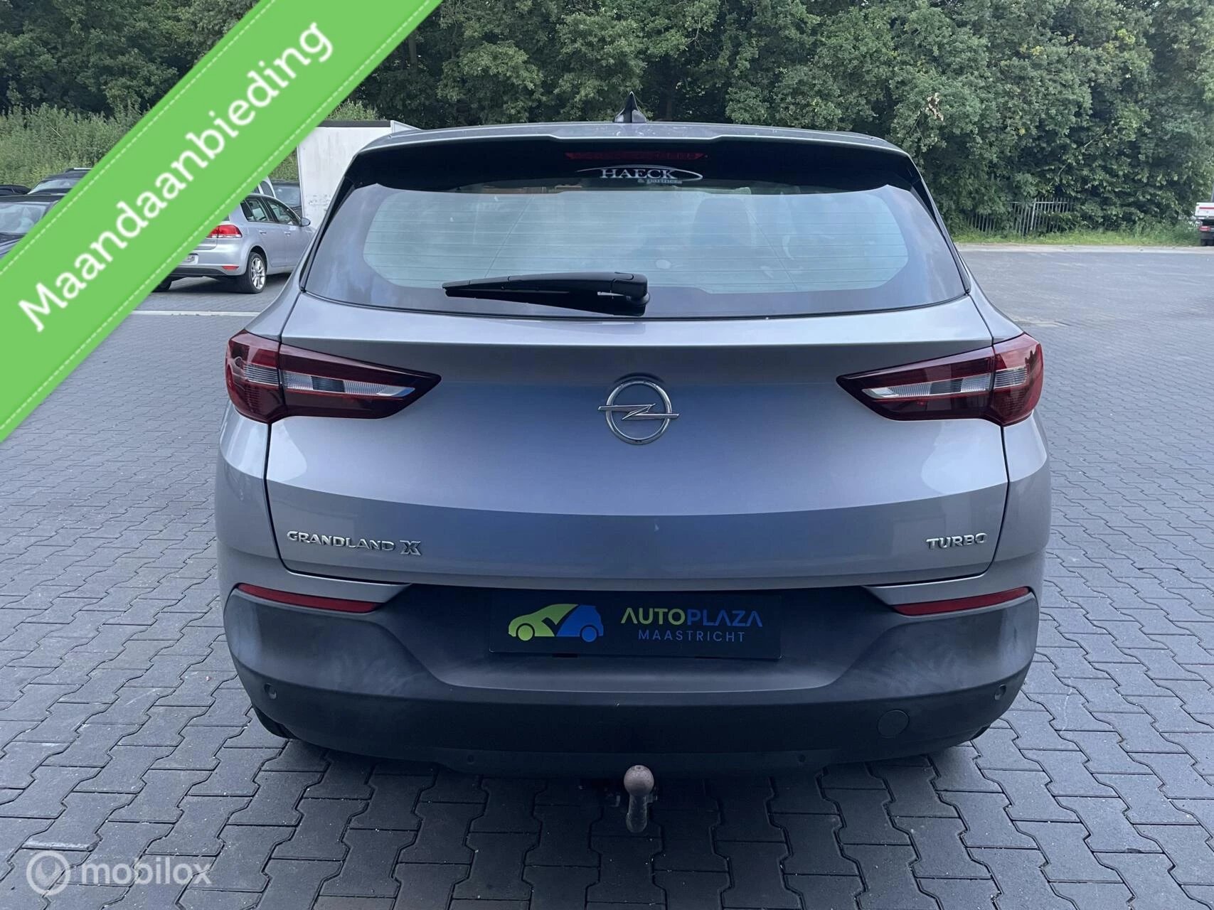 Hoofdafbeelding Opel Grandland X