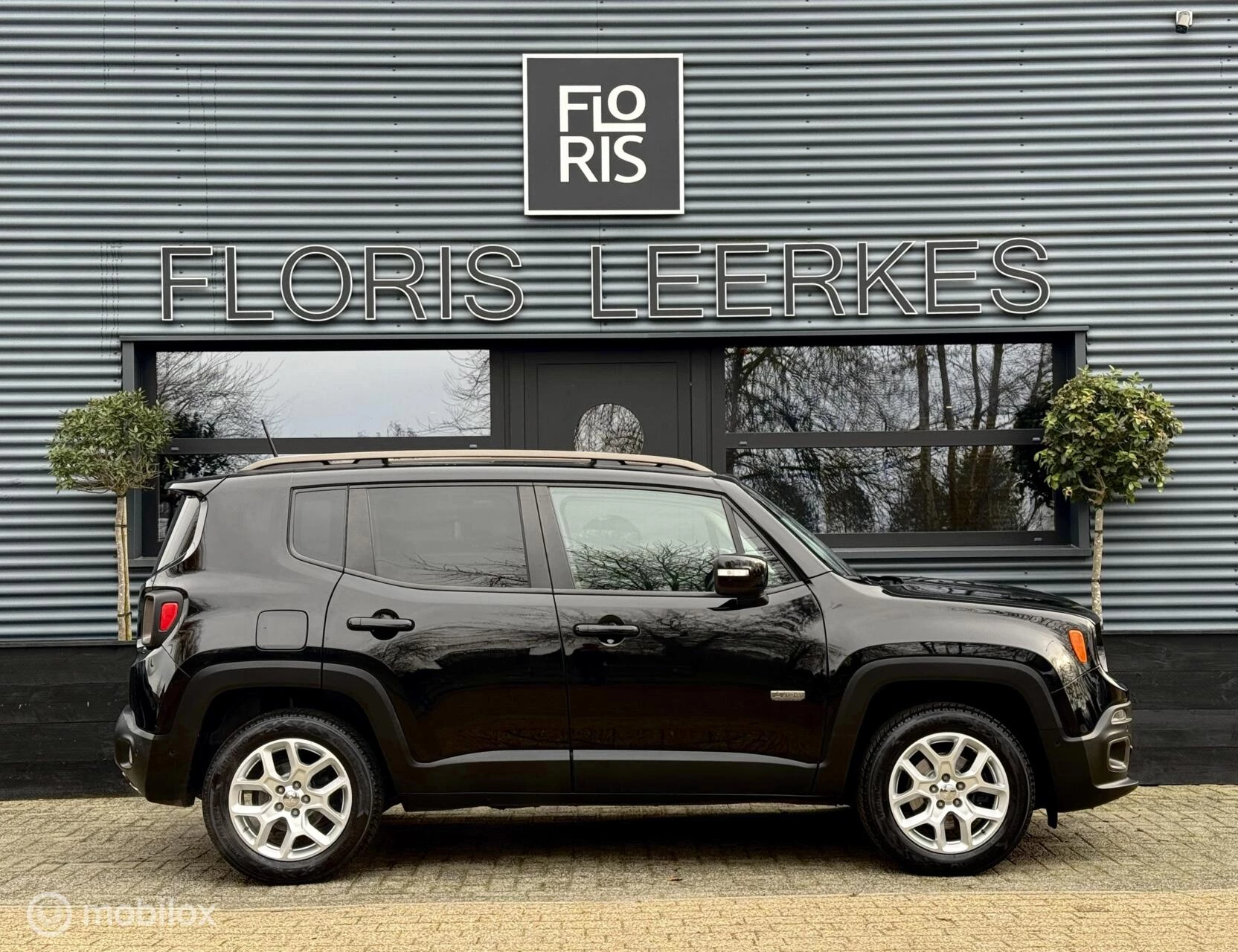 Hoofdafbeelding Jeep Renegade