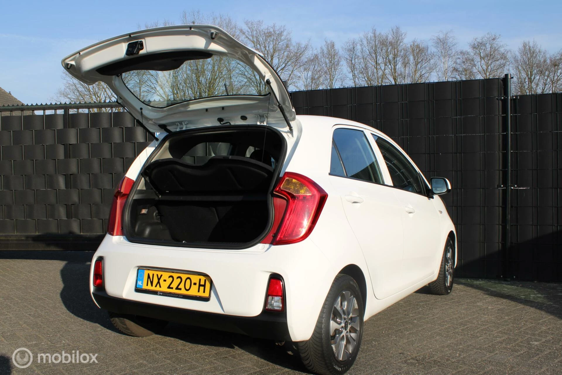 Hoofdafbeelding Kia Picanto